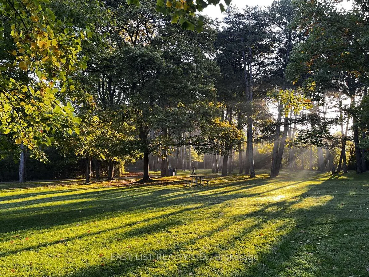 20 Southport Street, #521