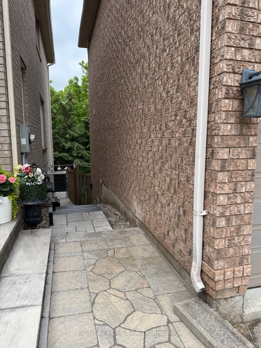 2499 SCOTCH PINE Drive