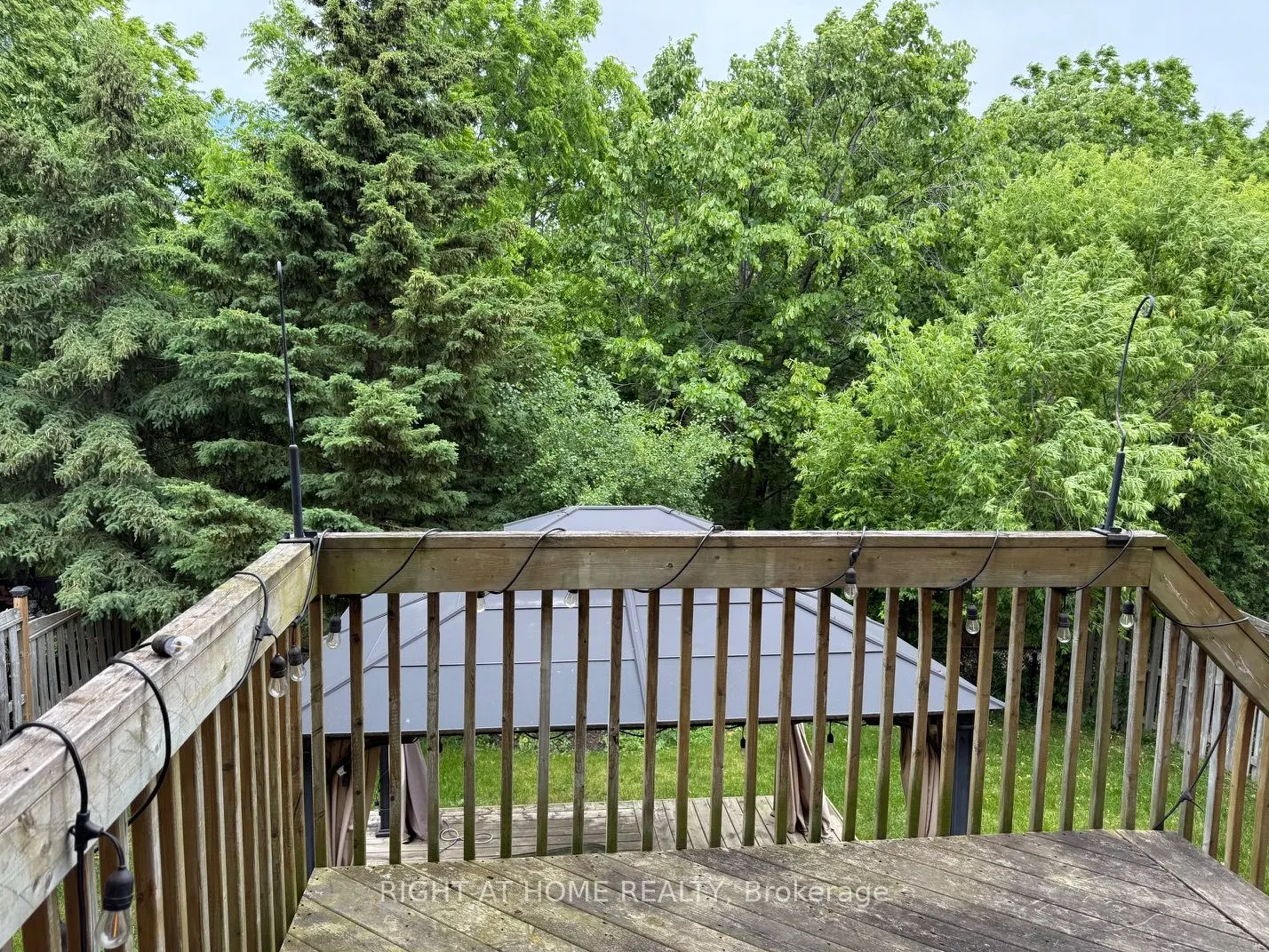 2499 SCOTCH PINE Drive