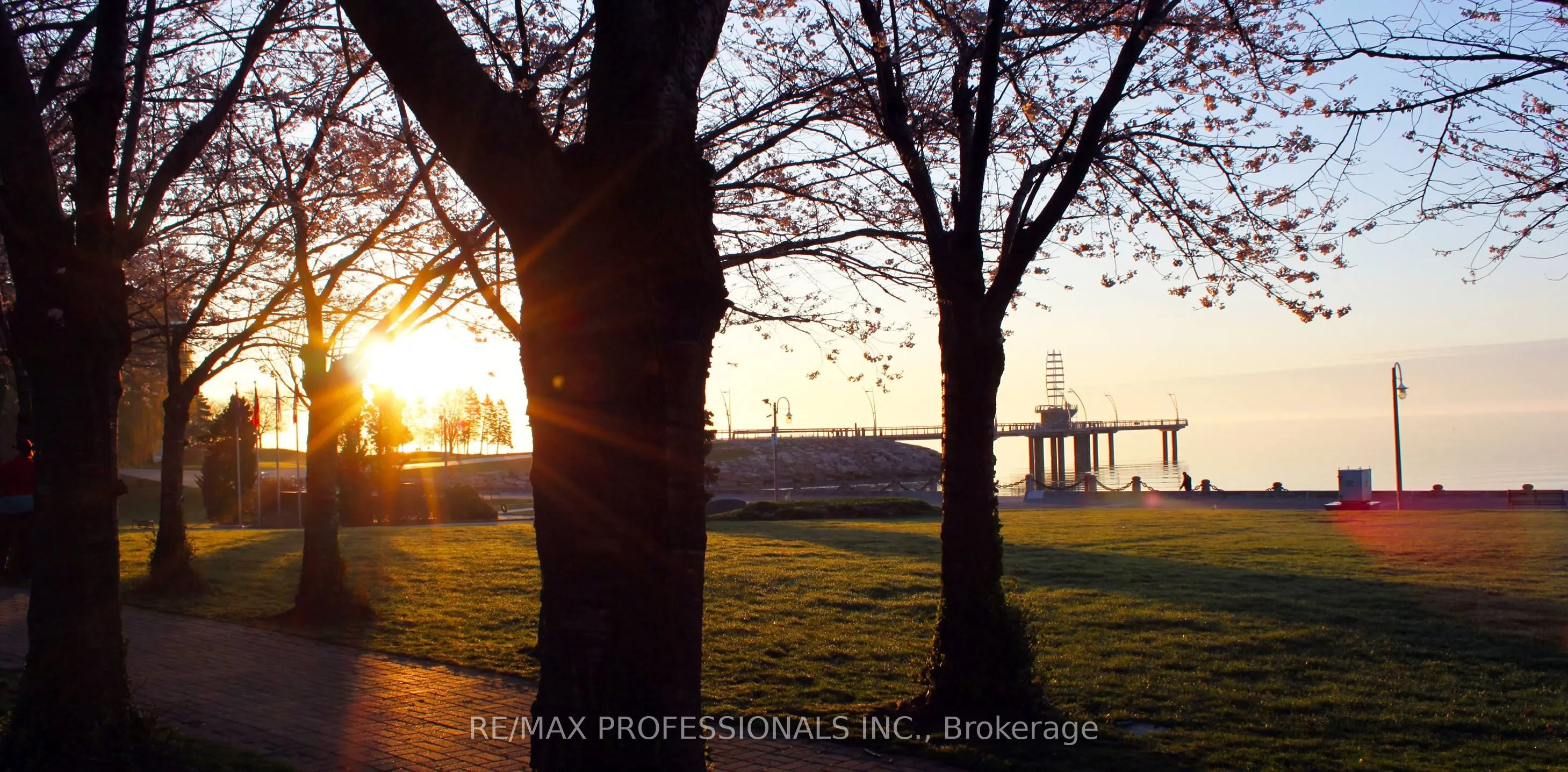 370 Martha Street, #802