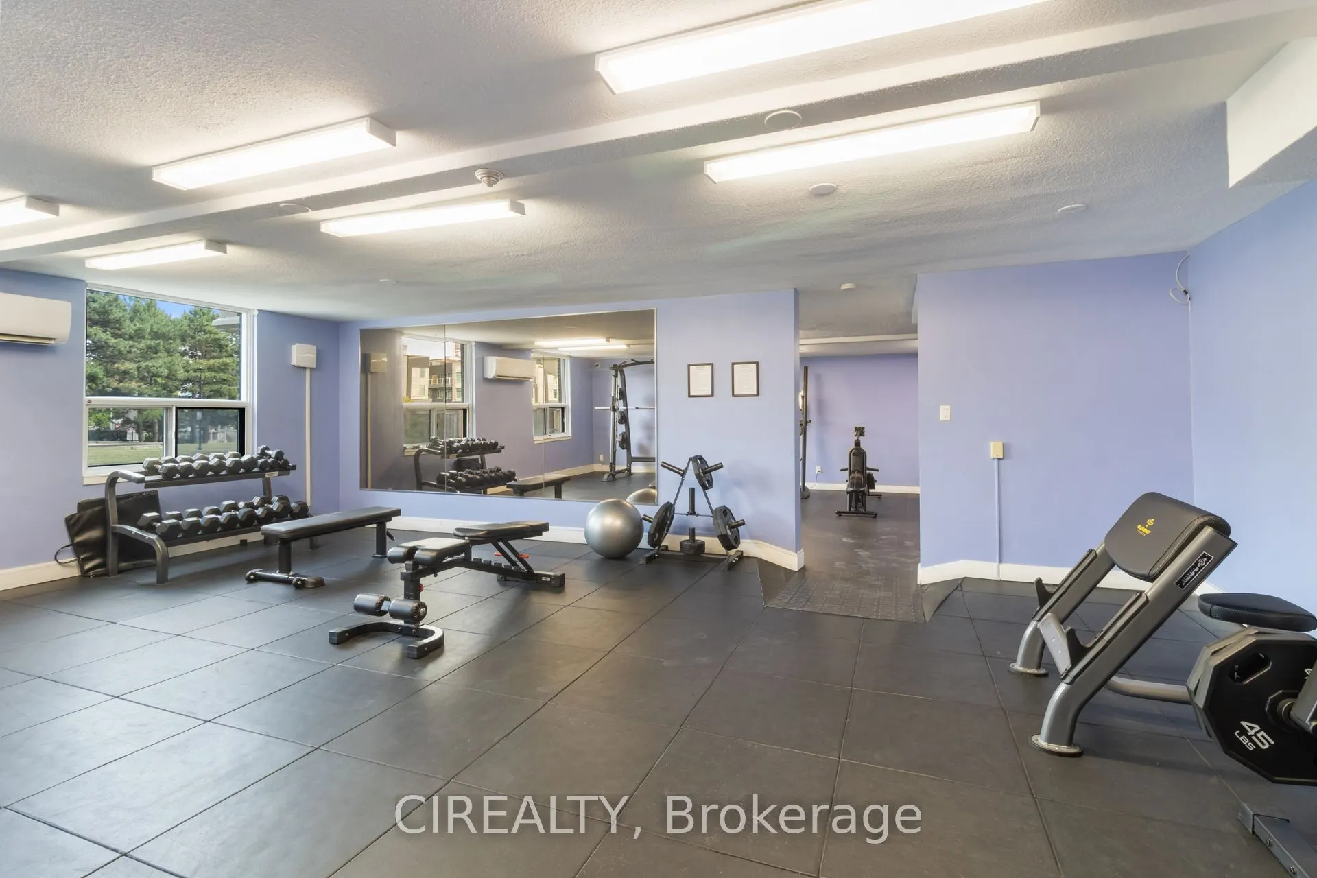 511 The West Mall, #709