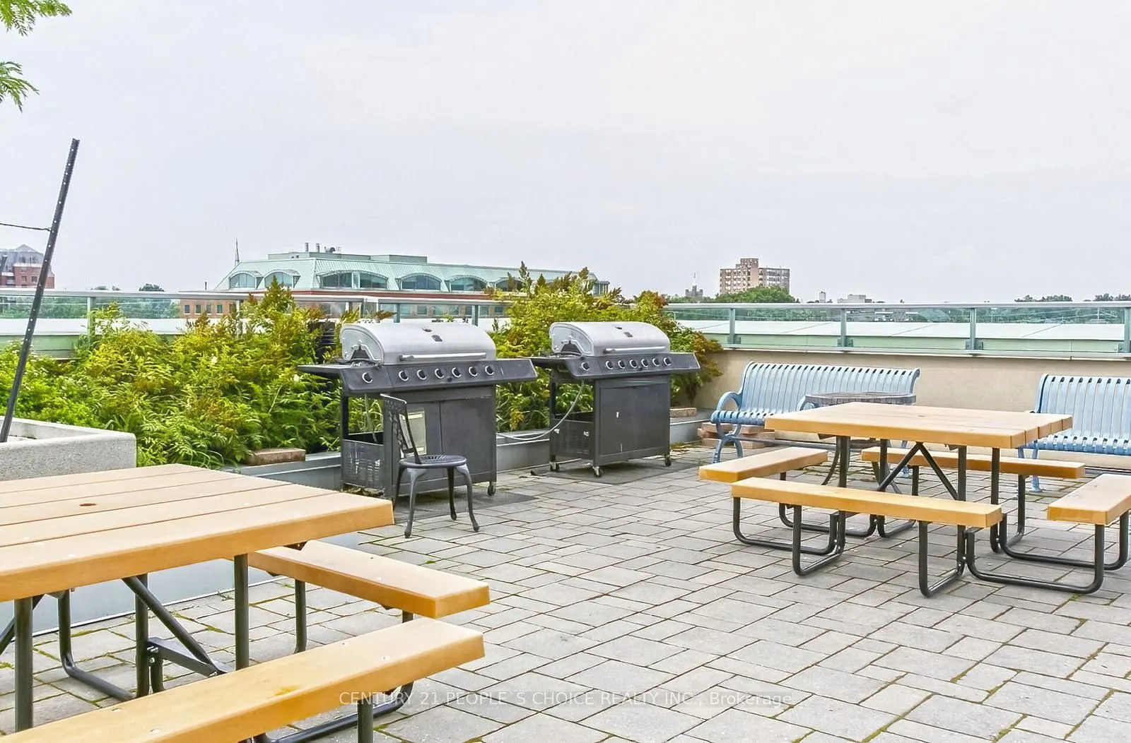 9 George Street, #1512