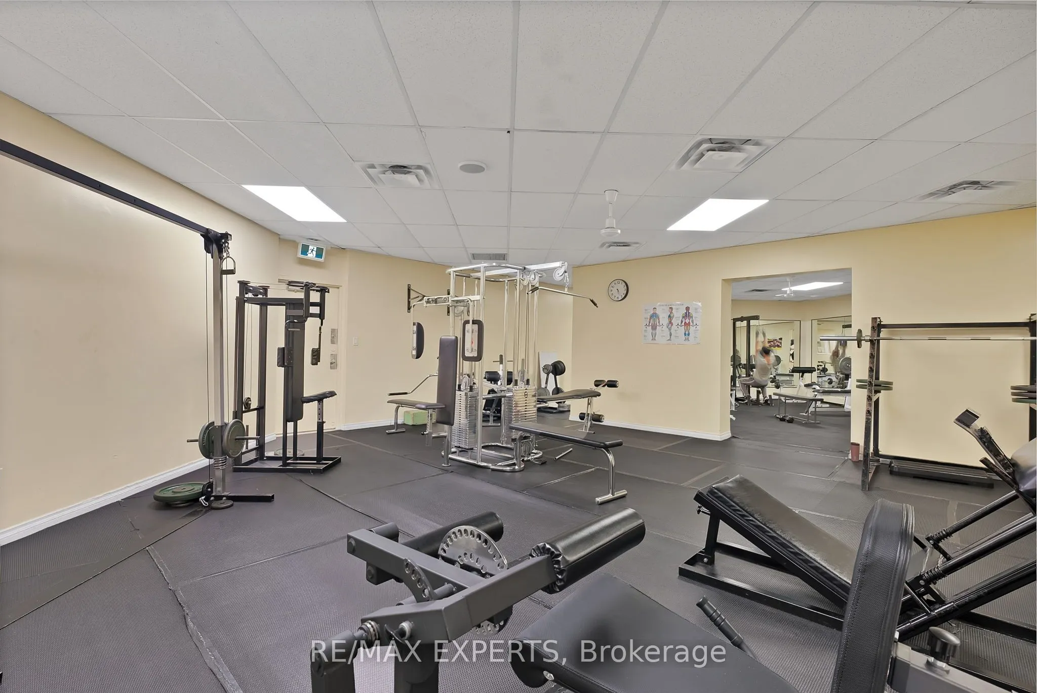 390 Dixon Road, #1013