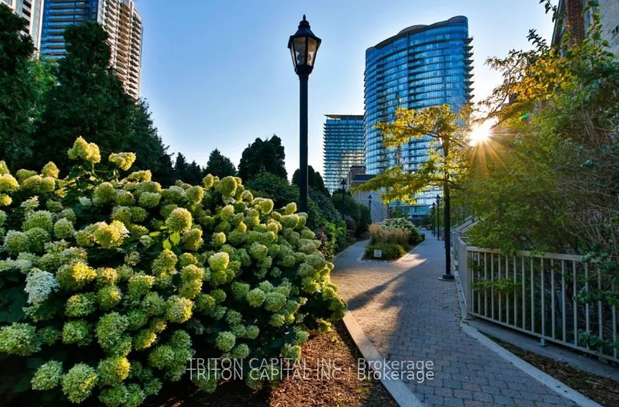 9 Windermere Avenue, #TH99