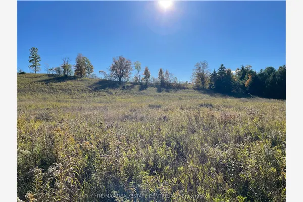 13062 Nassagaweya Esquesi, Townline