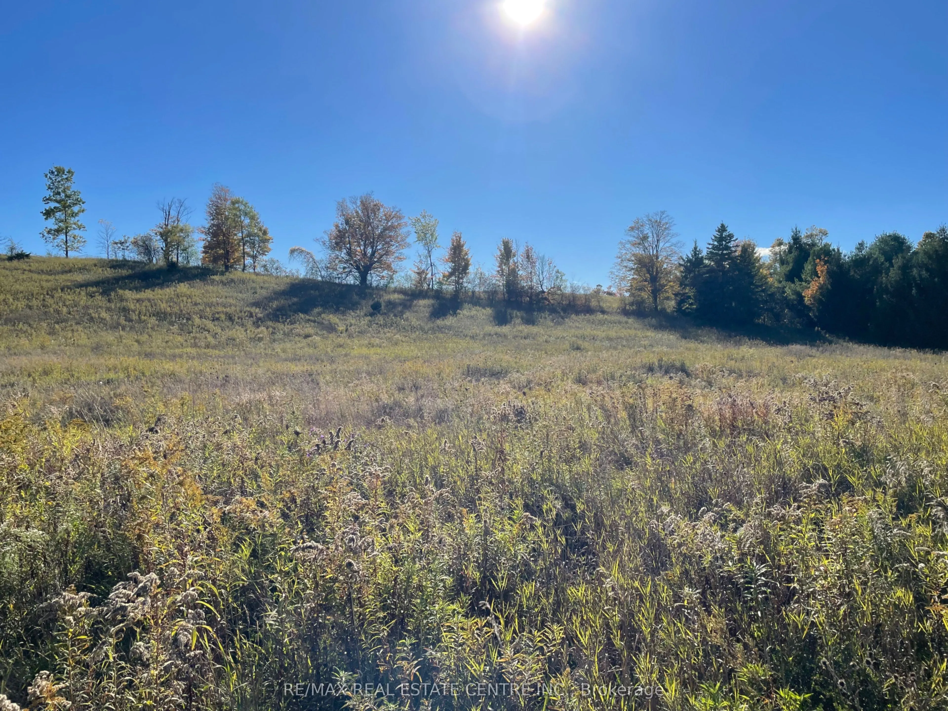 13062 Nassagaweya Esquesi, Townline