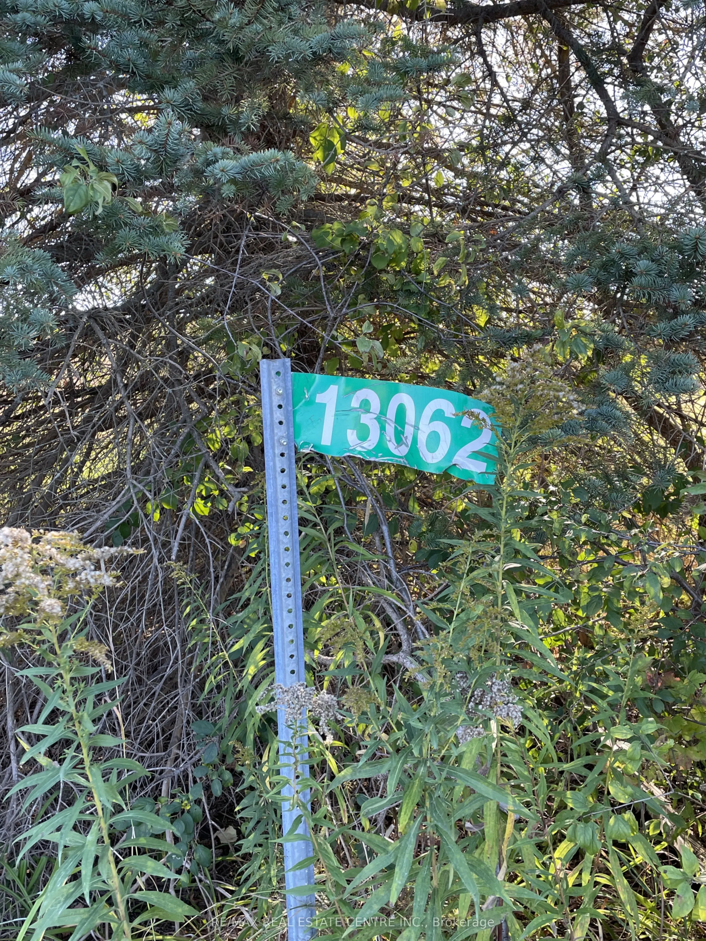 13062 Nassagaweya Esquesi, Townline