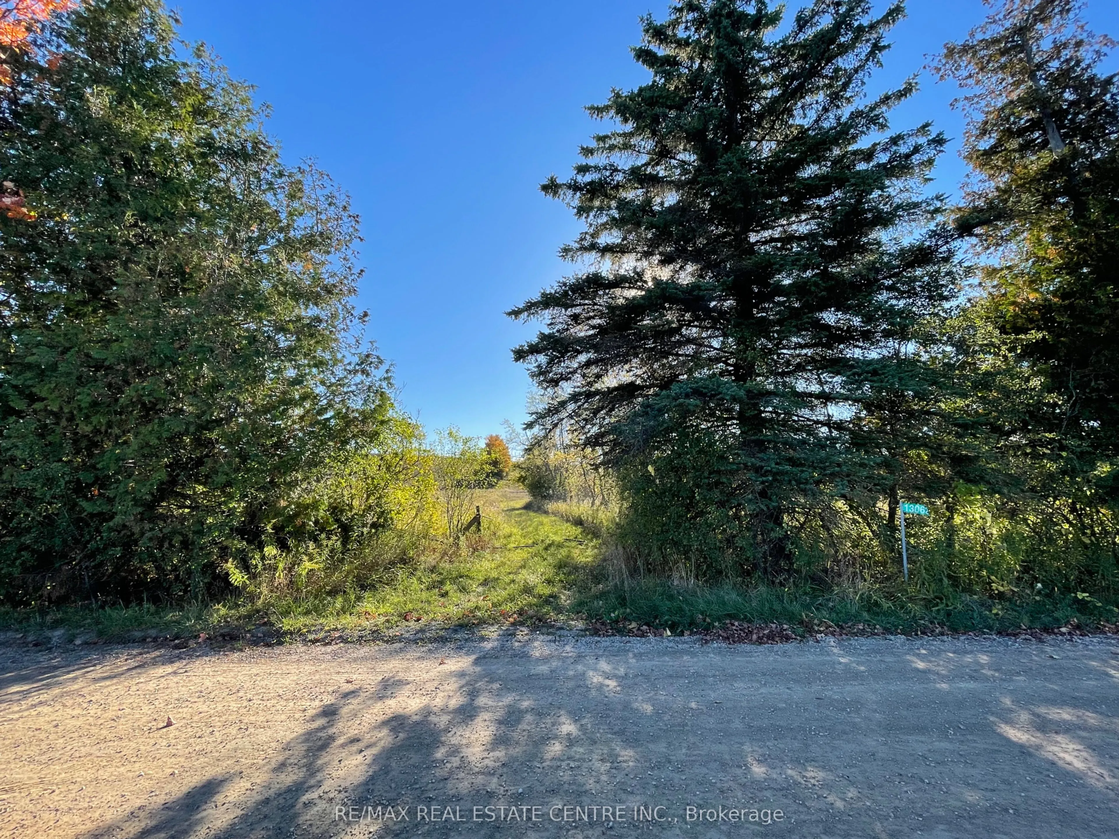 13062 Nassagaweya Esquesi, Townline