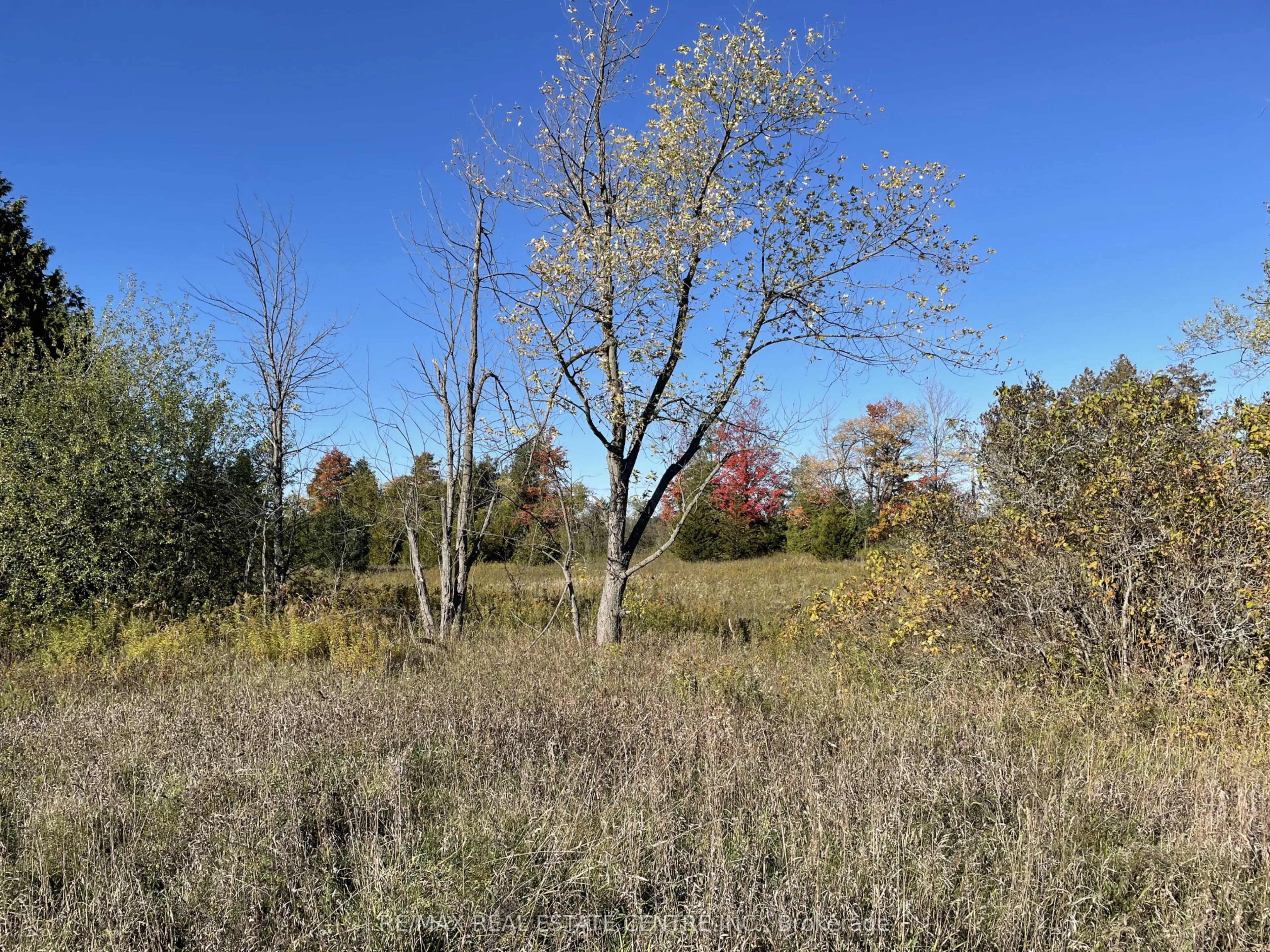 13062 Nassagaweya Esquesi, Townline