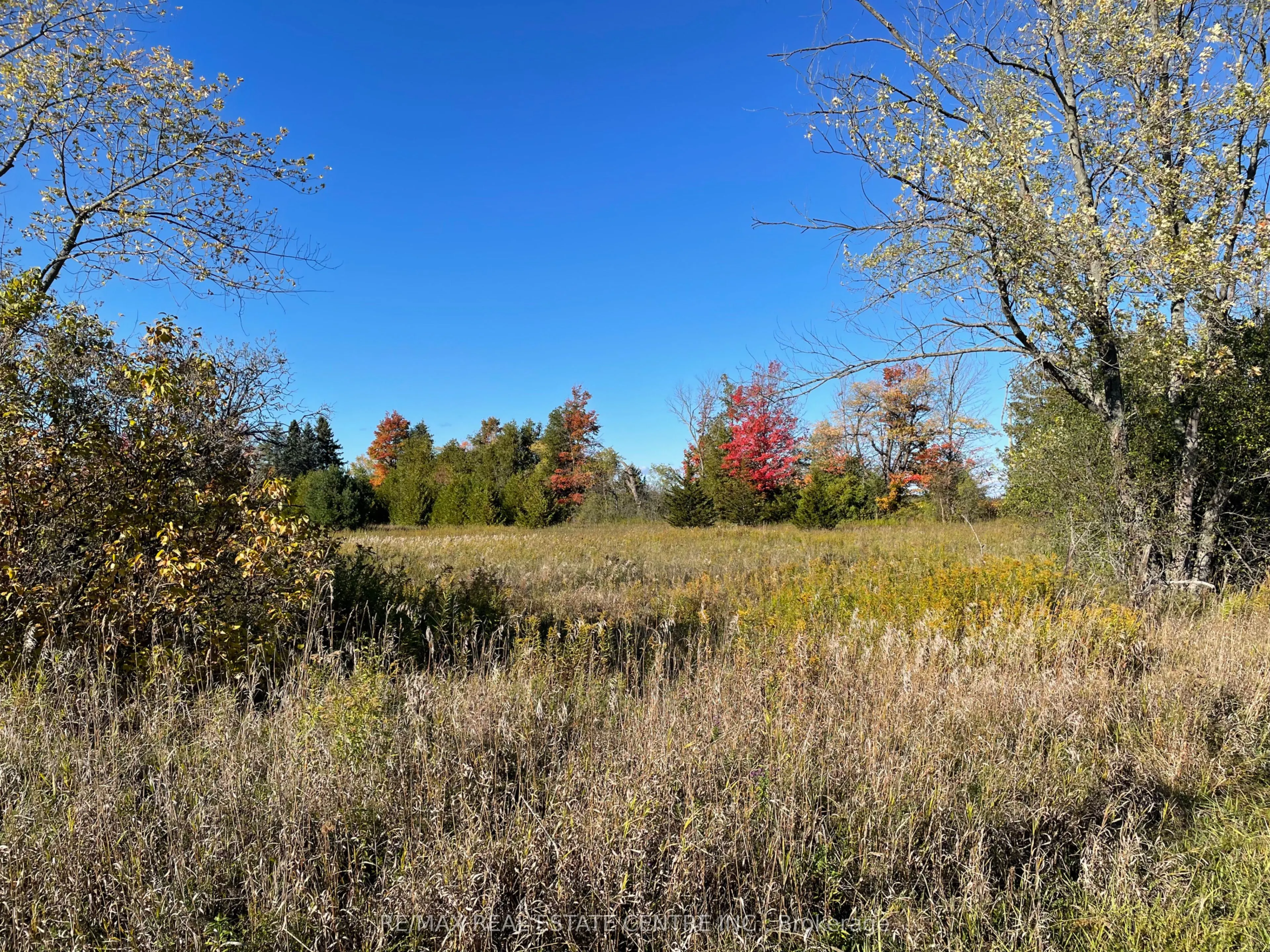 13062 Nassagaweya Esquesi, Townline