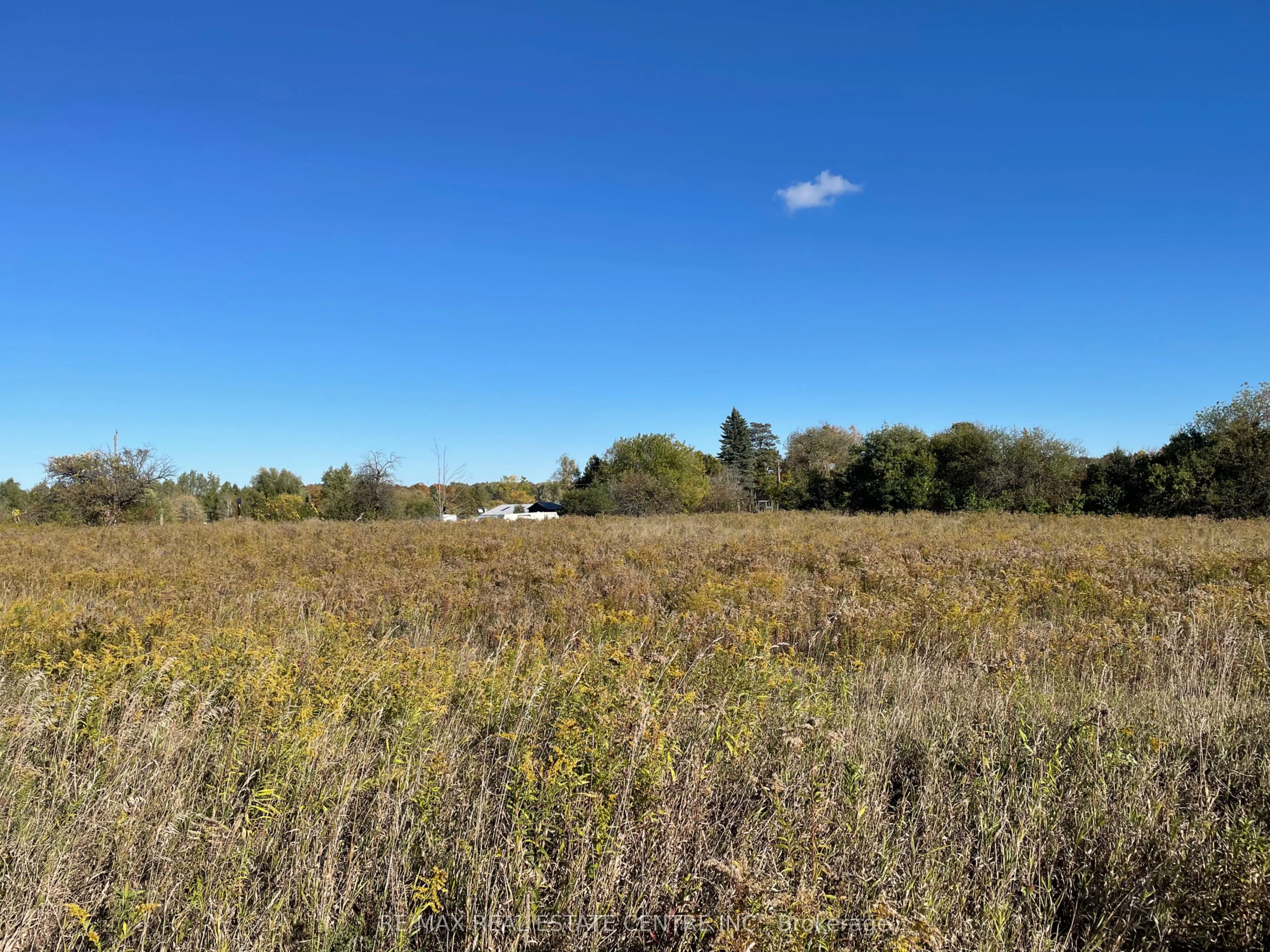 13062 Nassagaweya Esquesi, Townline