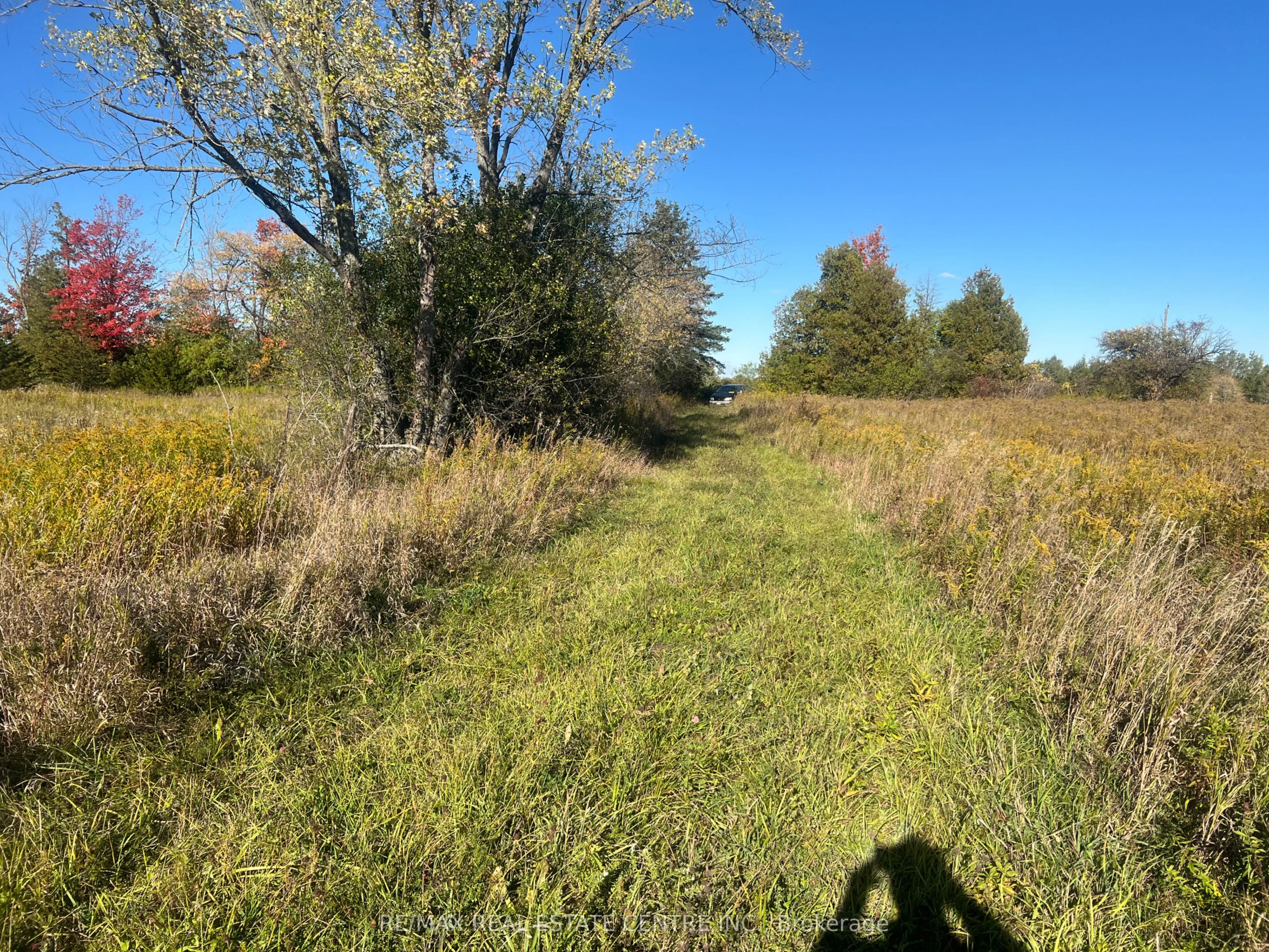 13062 Nassagaweya Esquesi, Townline