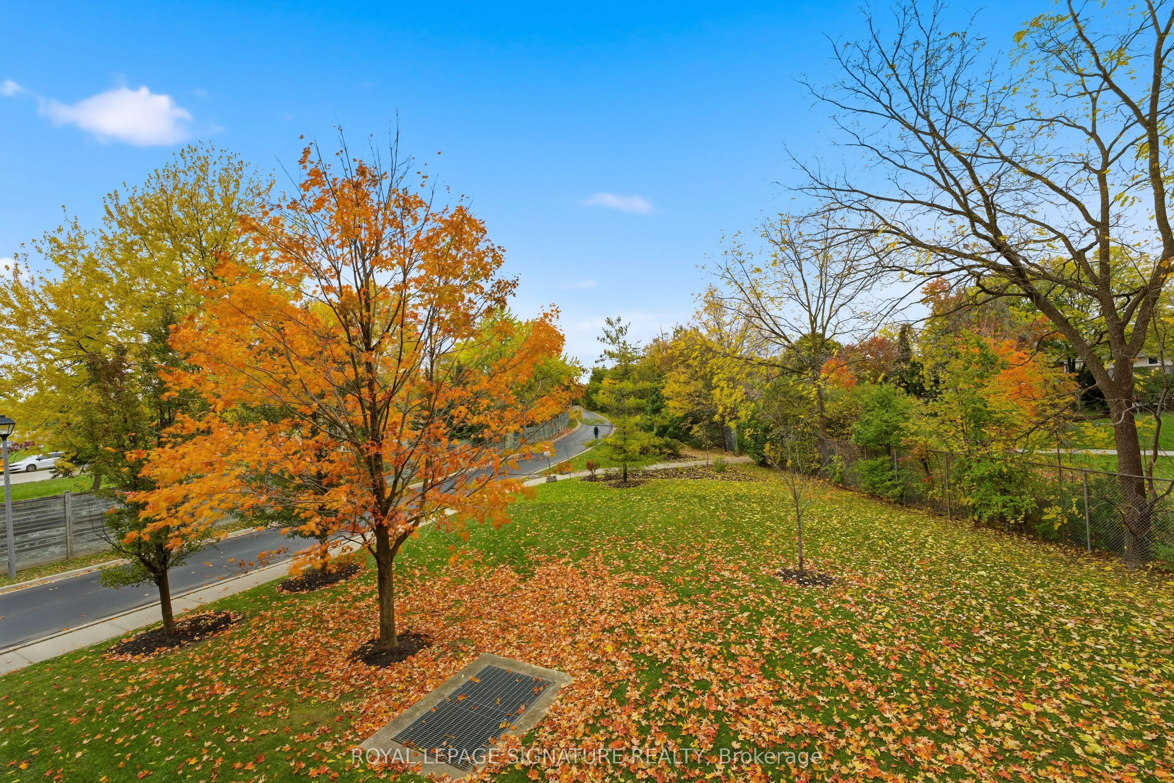 443 Centennial Forest Drive, #204