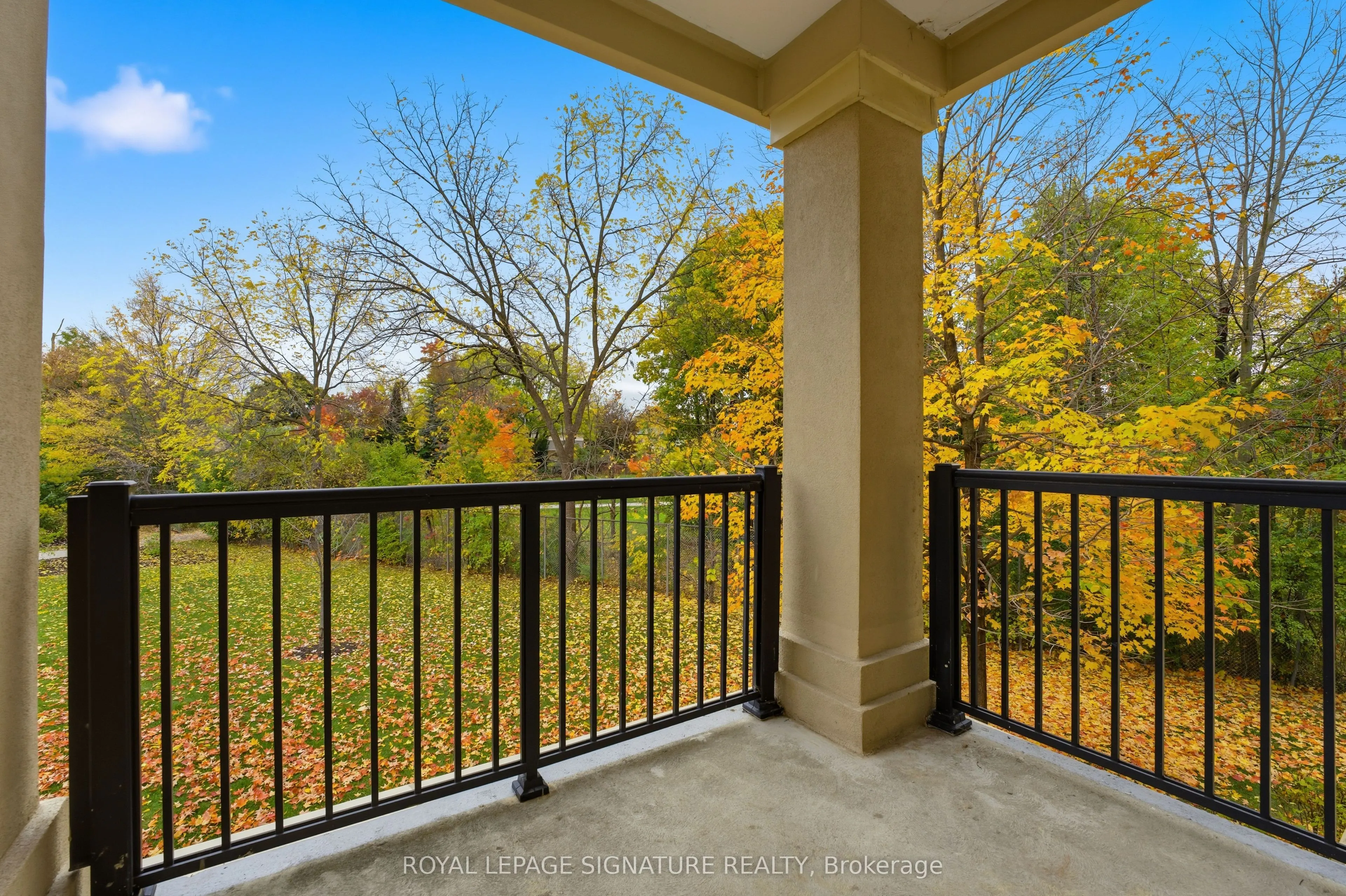 443 Centennial Forest Drive, #204