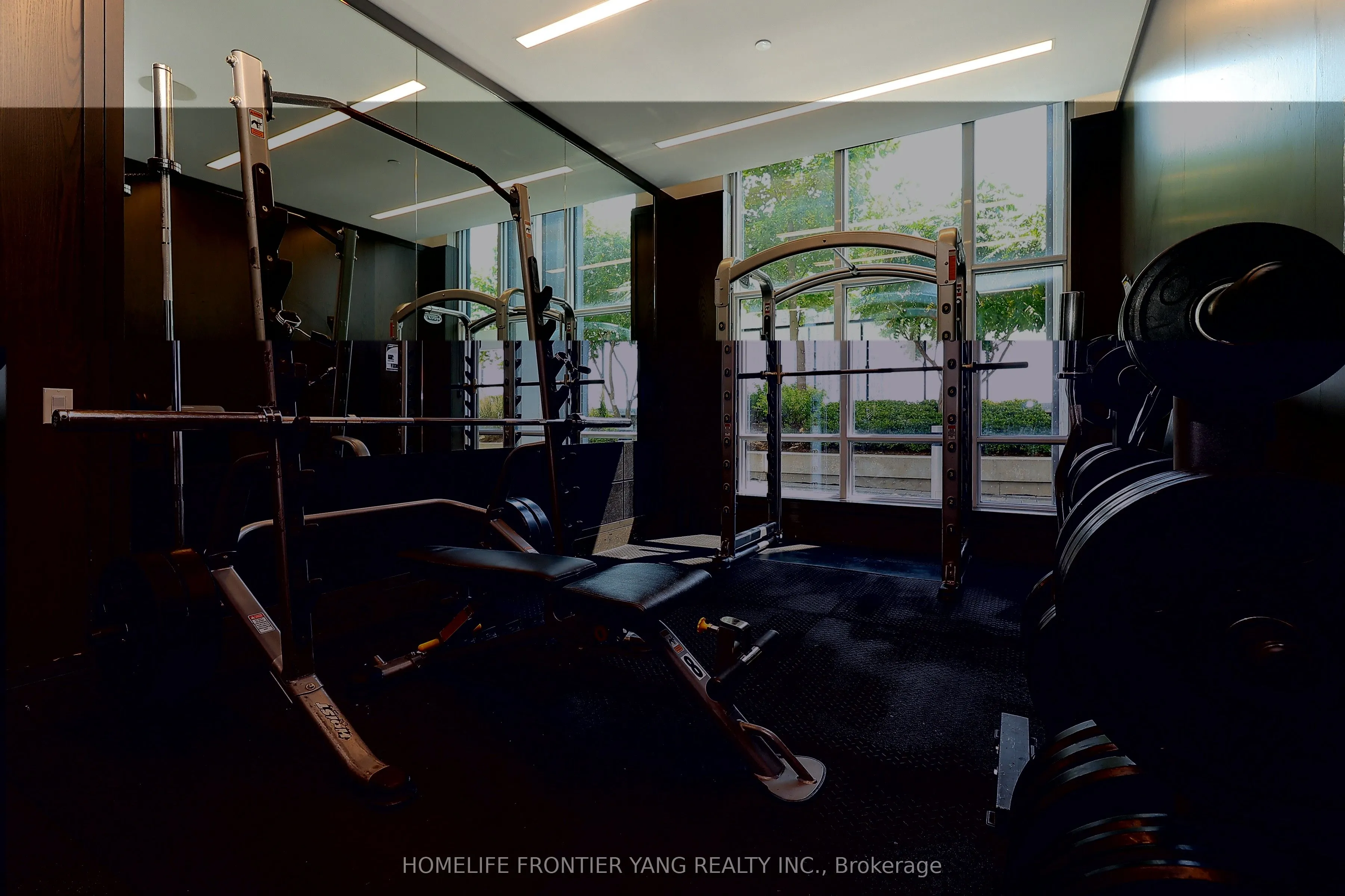 7 Mabelle Avenue, #501