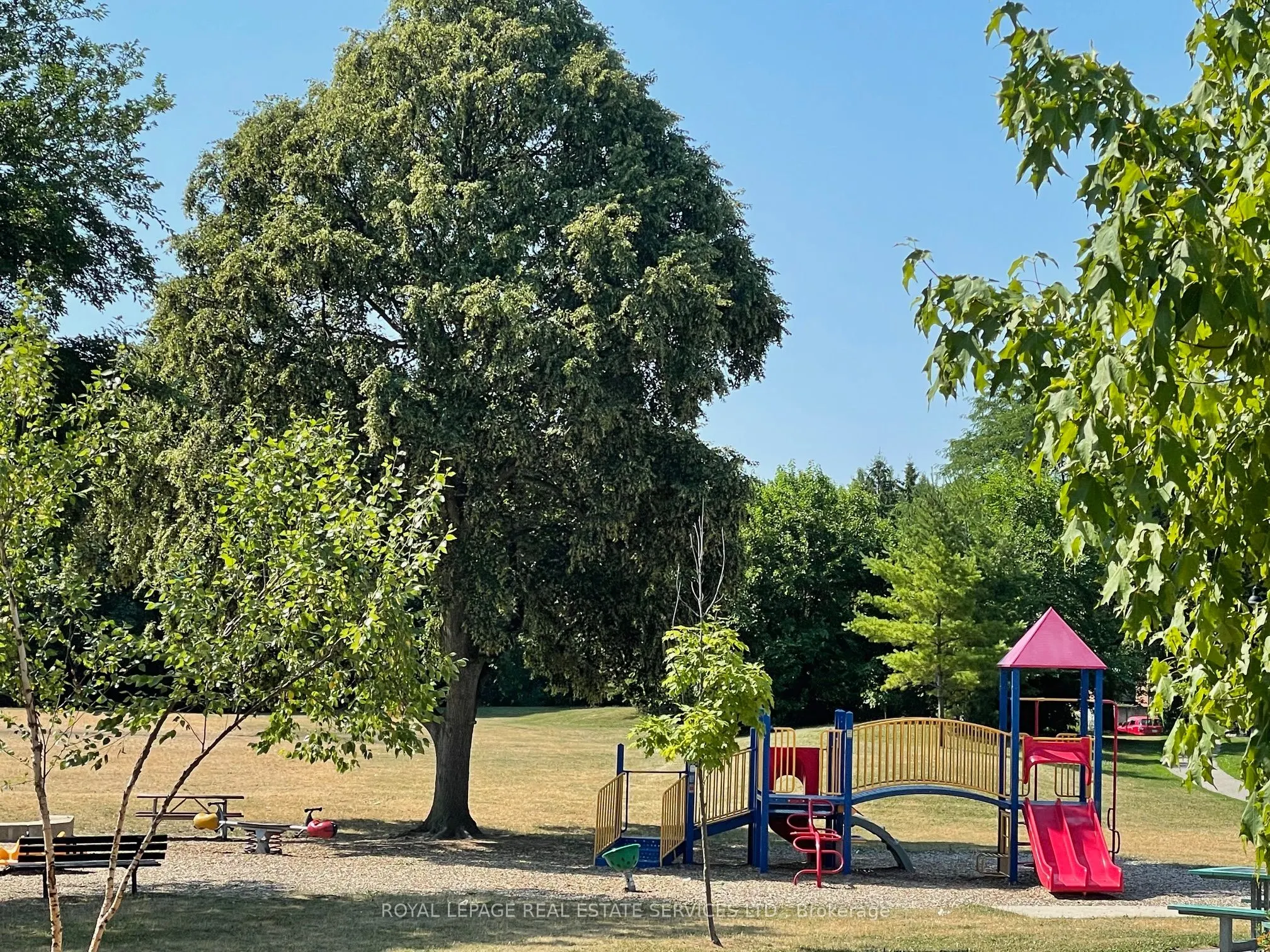 95 La Rose Avenue, #704