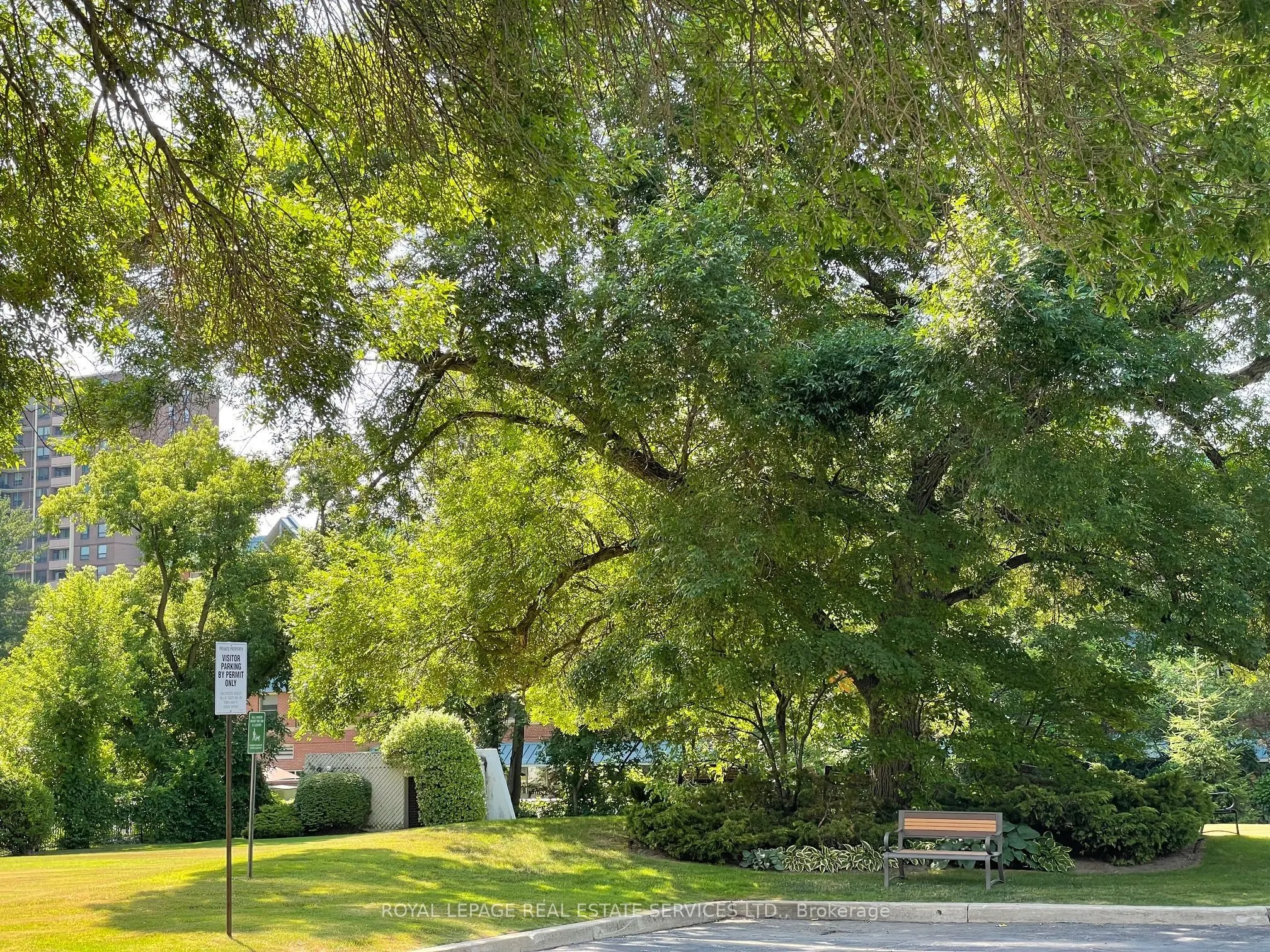 95 La Rose Avenue, #704