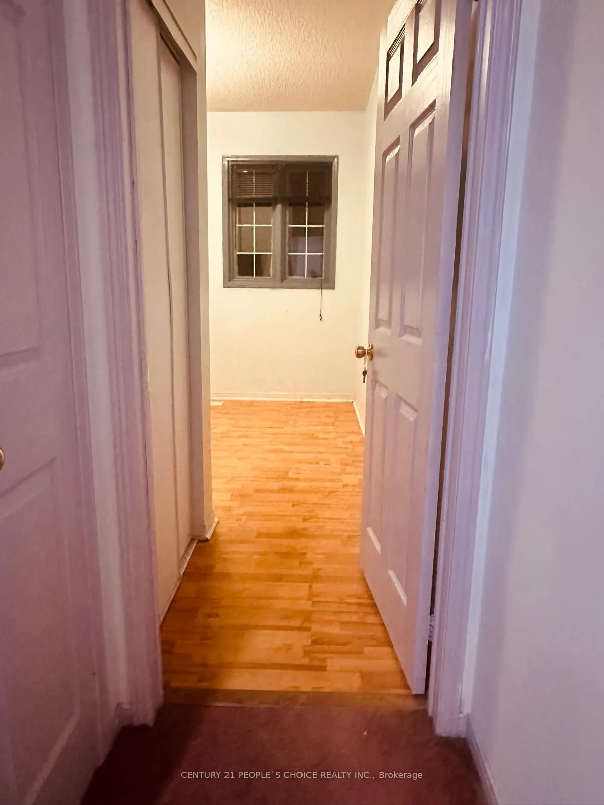 48 Yellow Brick Road