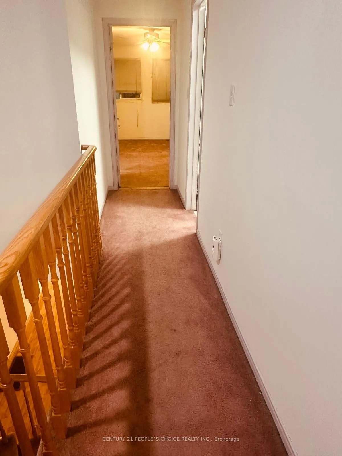 48 Yellow Brick Road