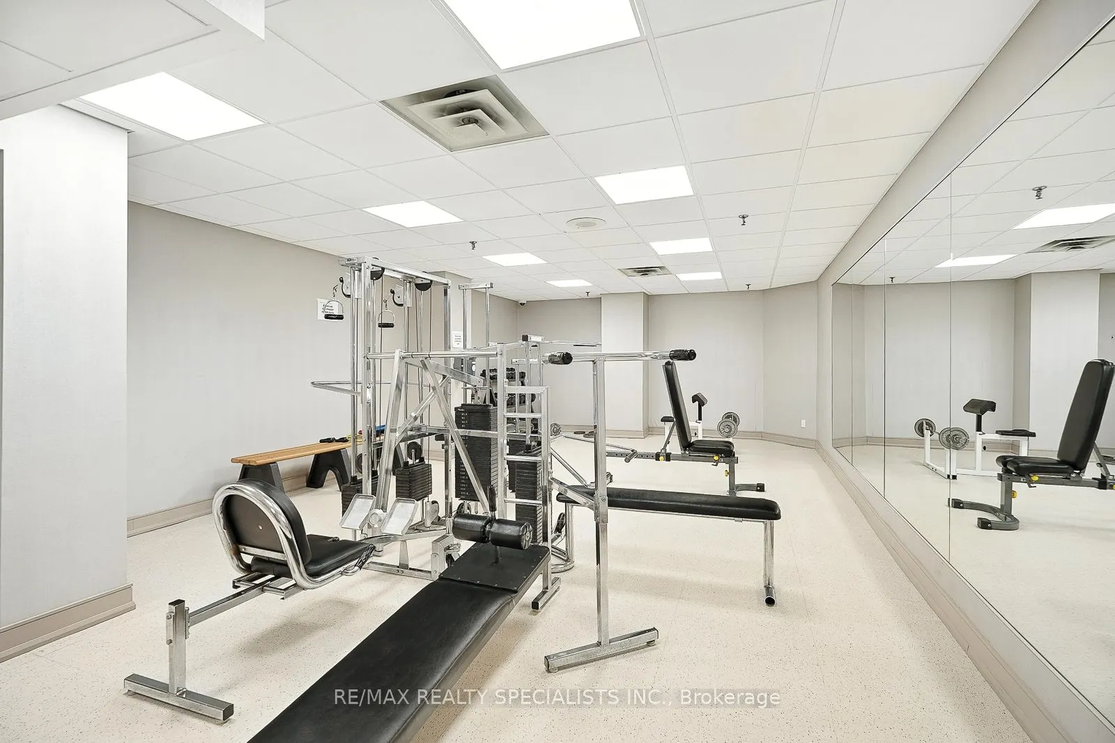 310 Mill Street, #1203