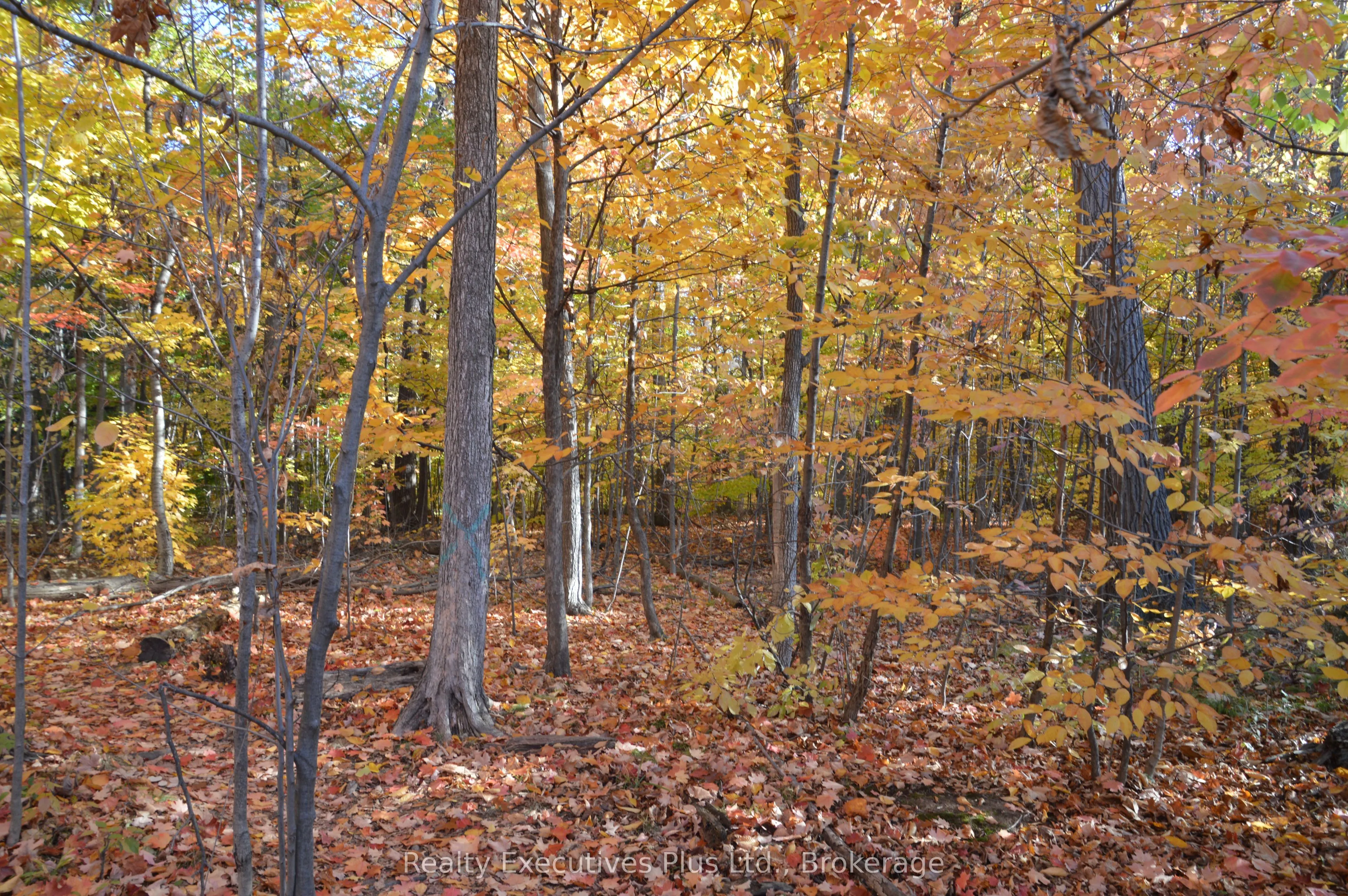 4200 Kilmer Drive W, #42