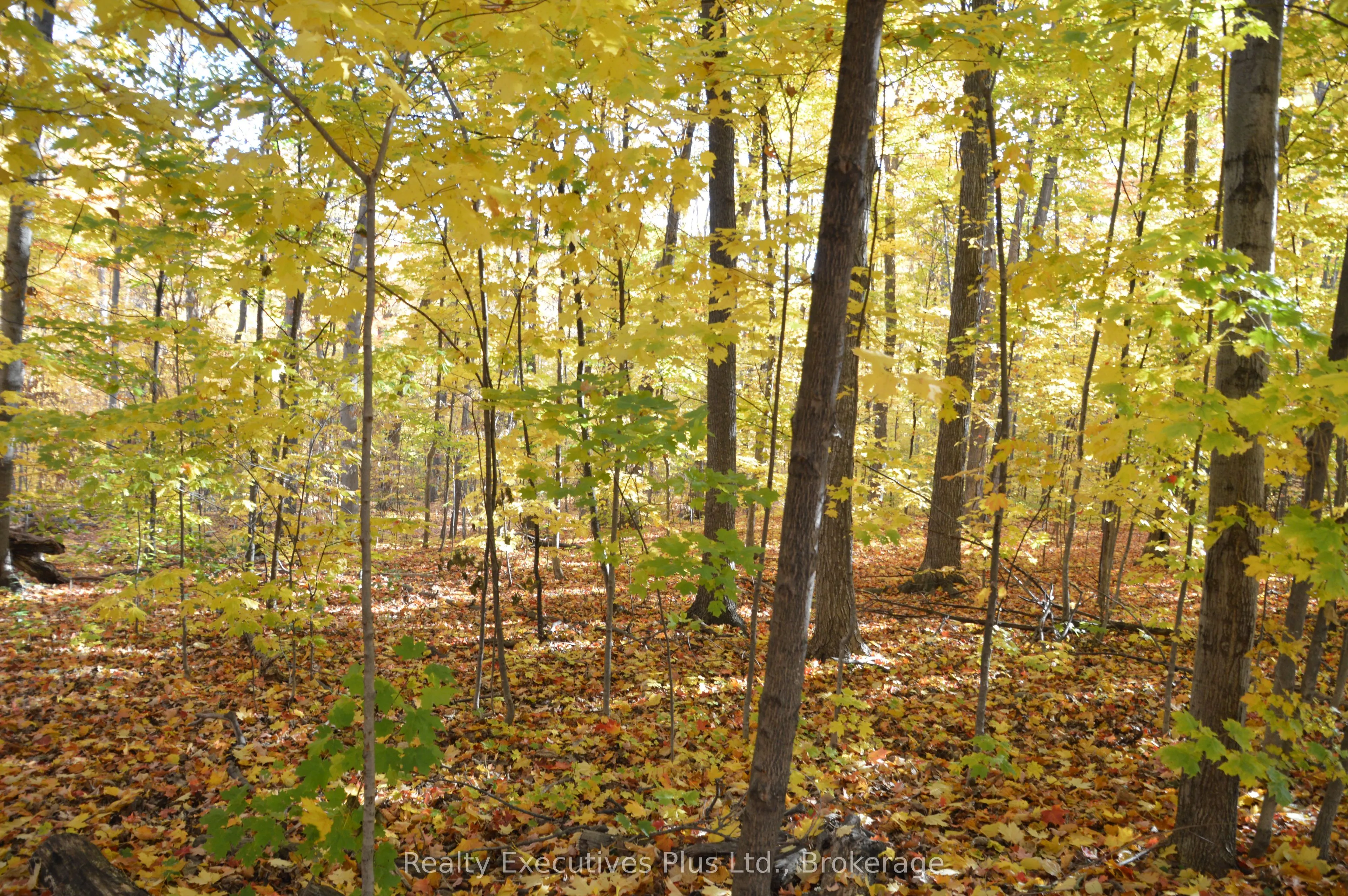 4200 Kilmer Drive W, #42