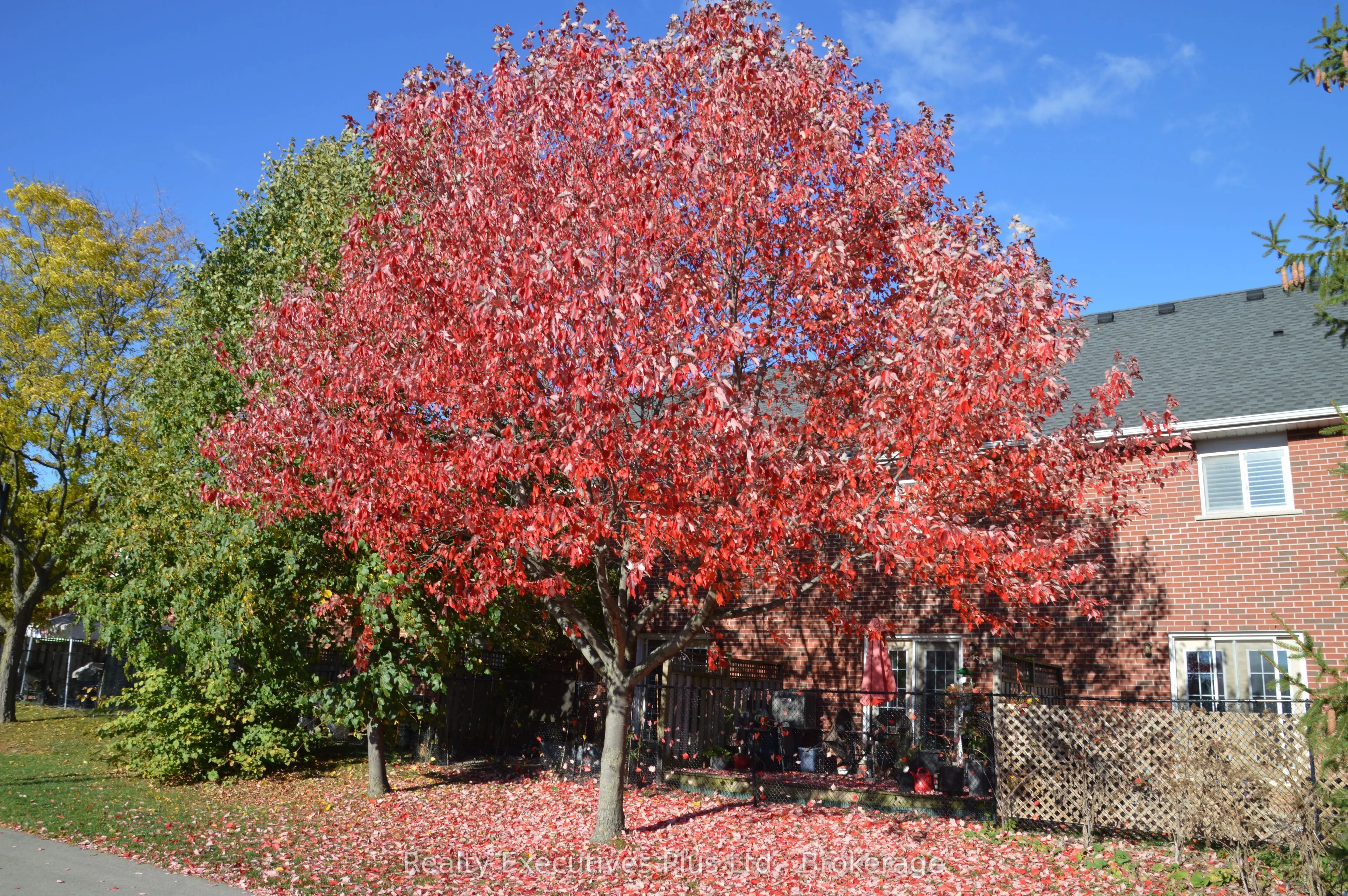 4200 Kilmer Drive W, #42