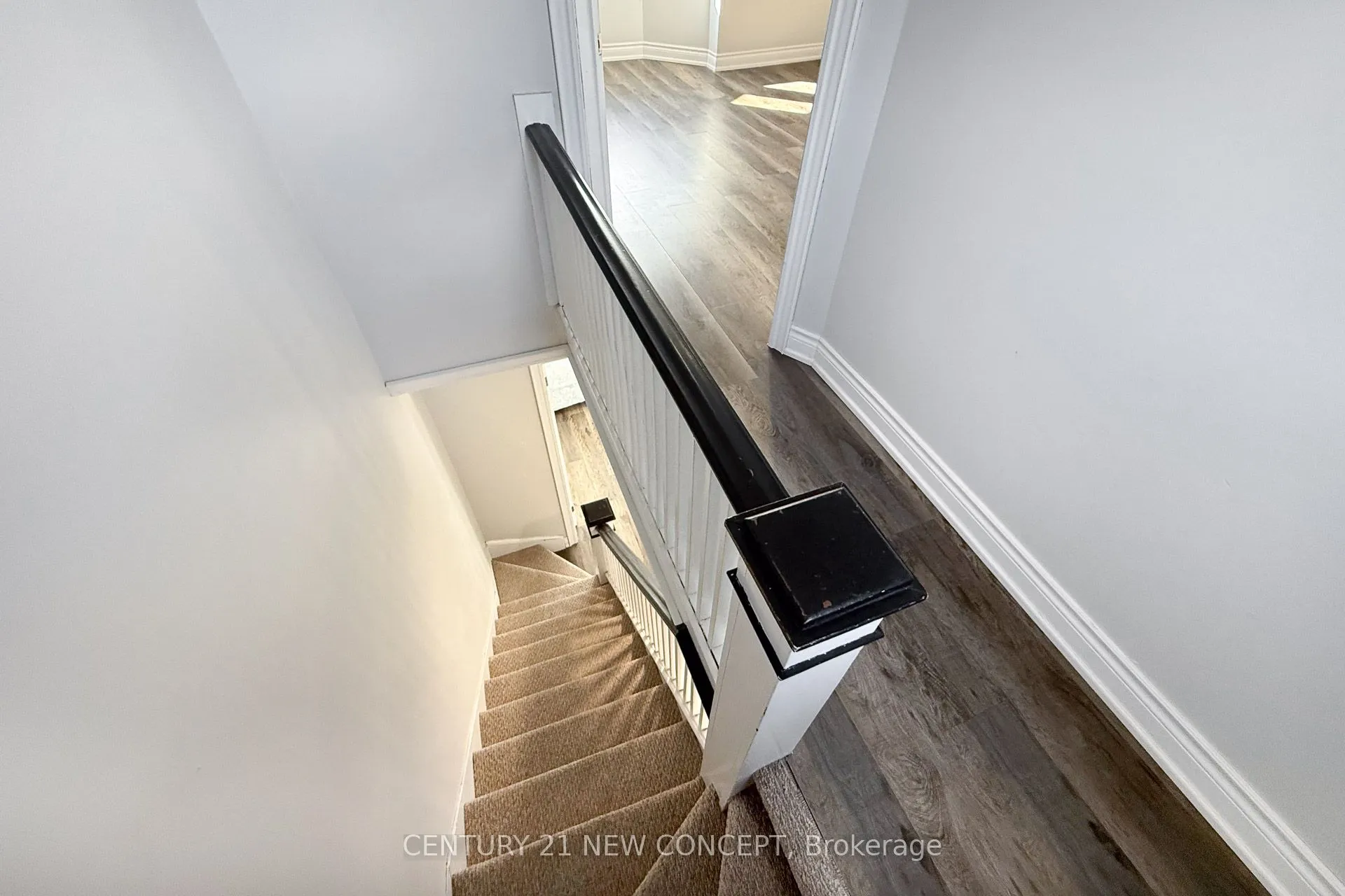 1113 Dufferin Street