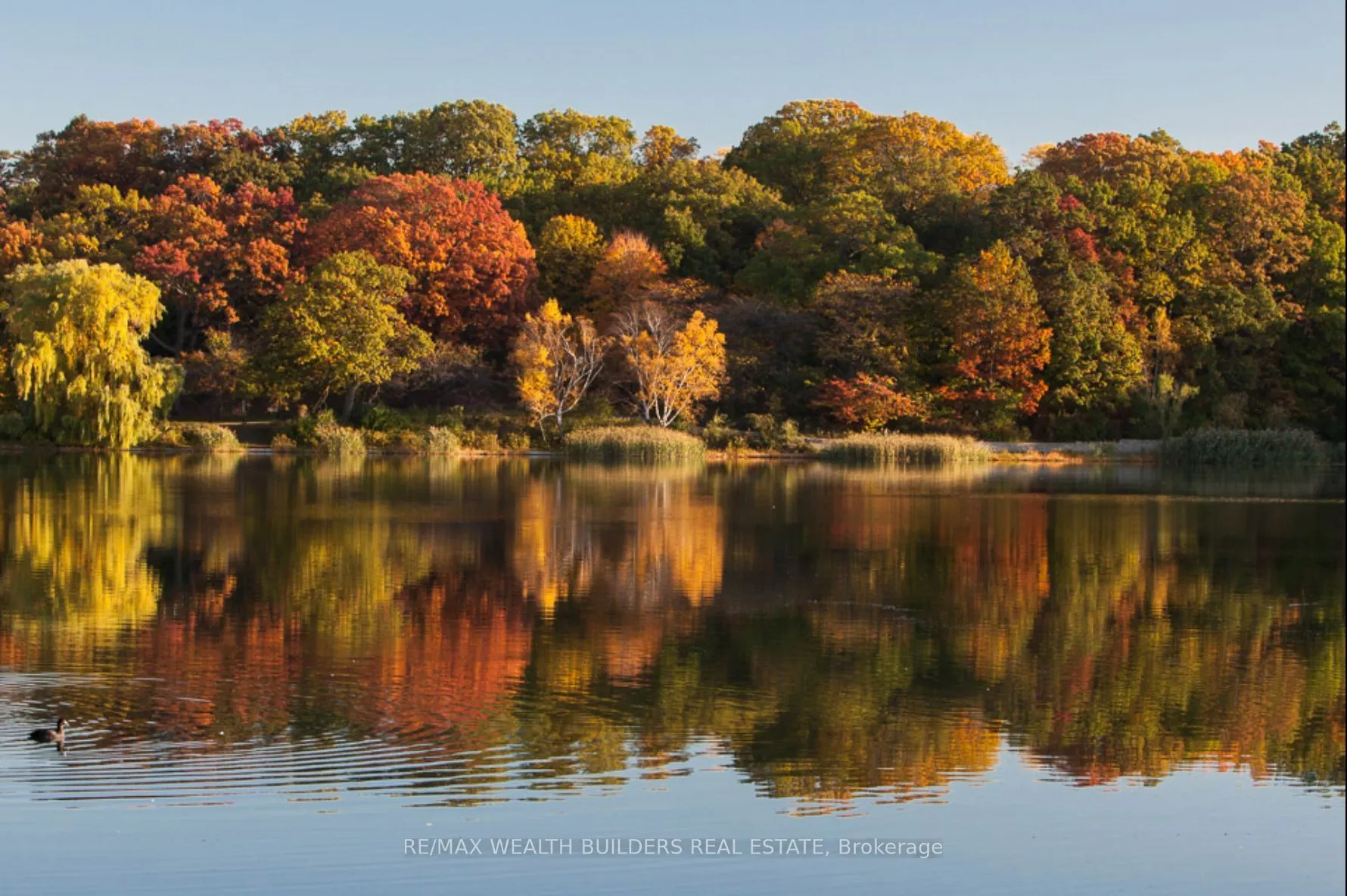 2118 Bloor Street W, #511