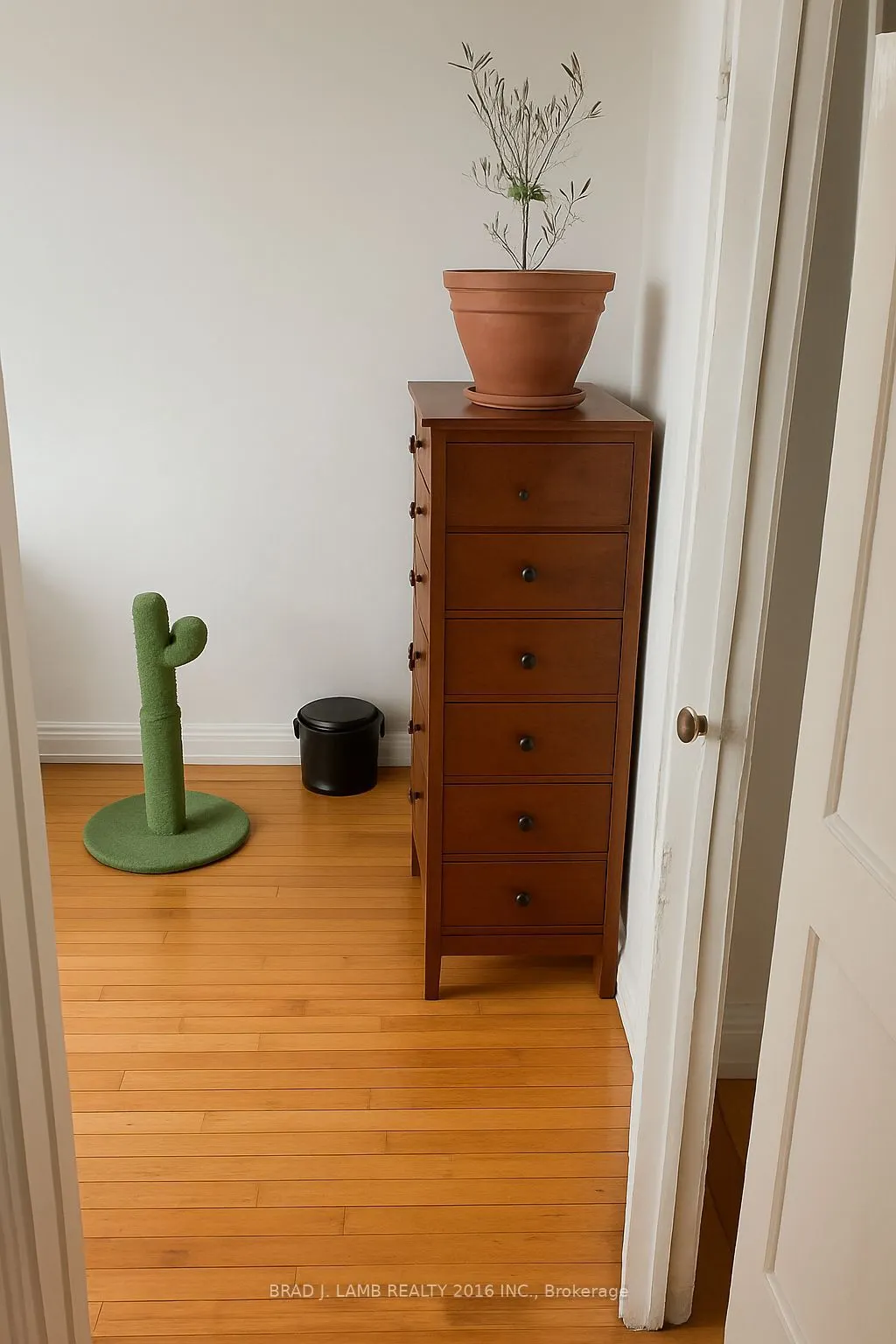 28 Springhurst Avenue, #4