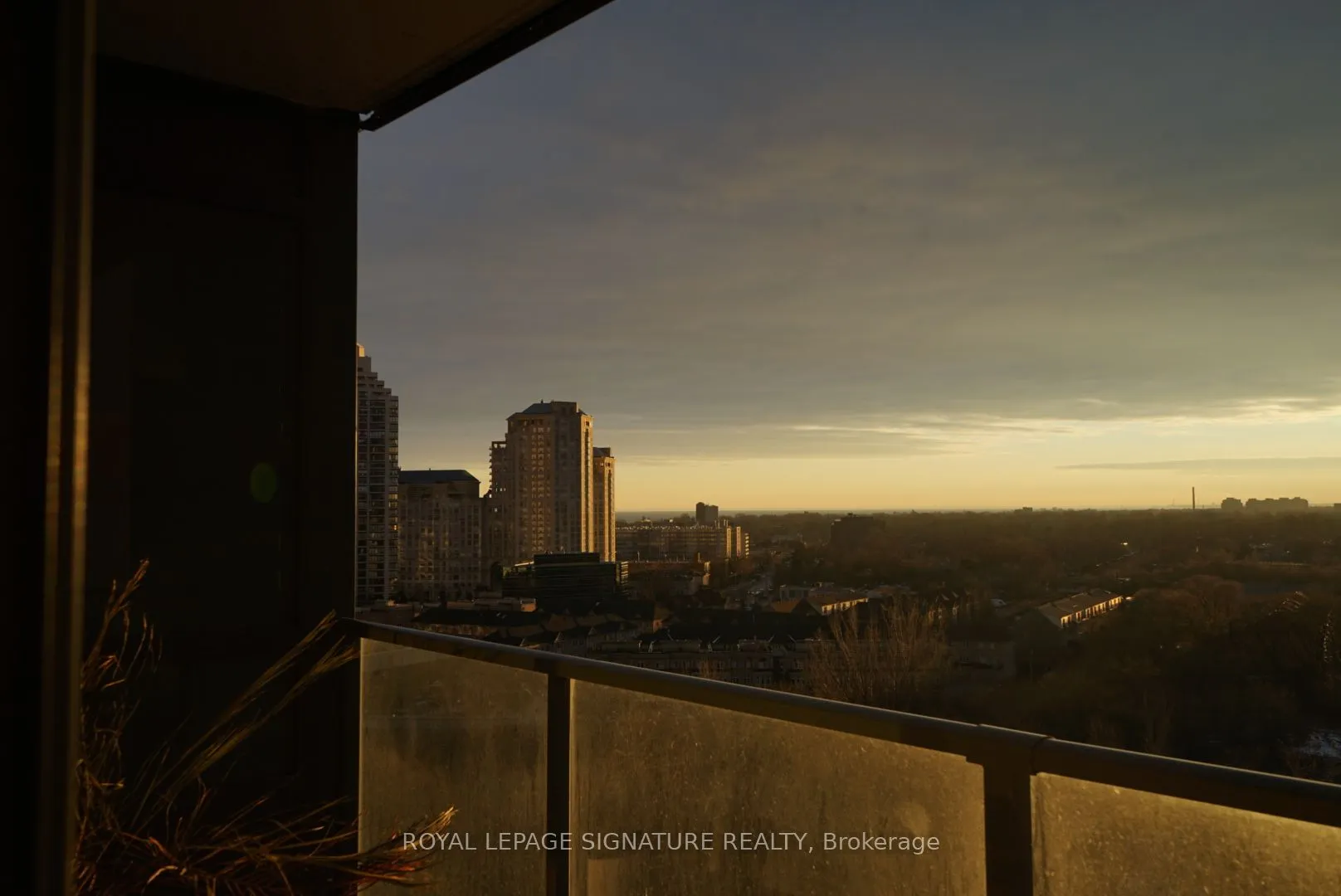 36 Park Lawn Road, #1104