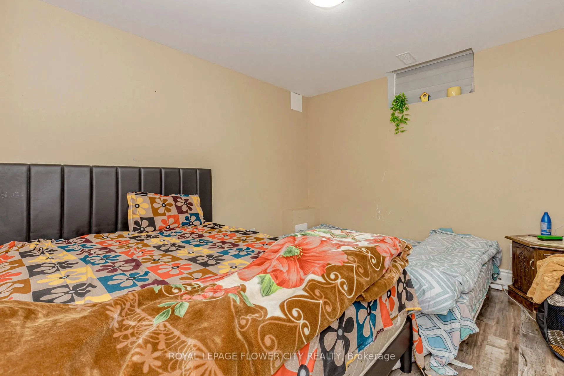 49 Squire Ellis Drive