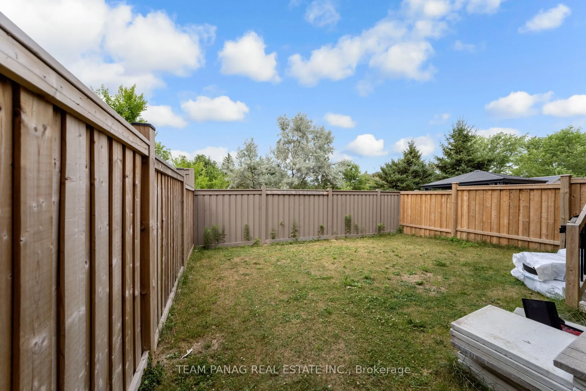 111 Iceland Poppy Trail