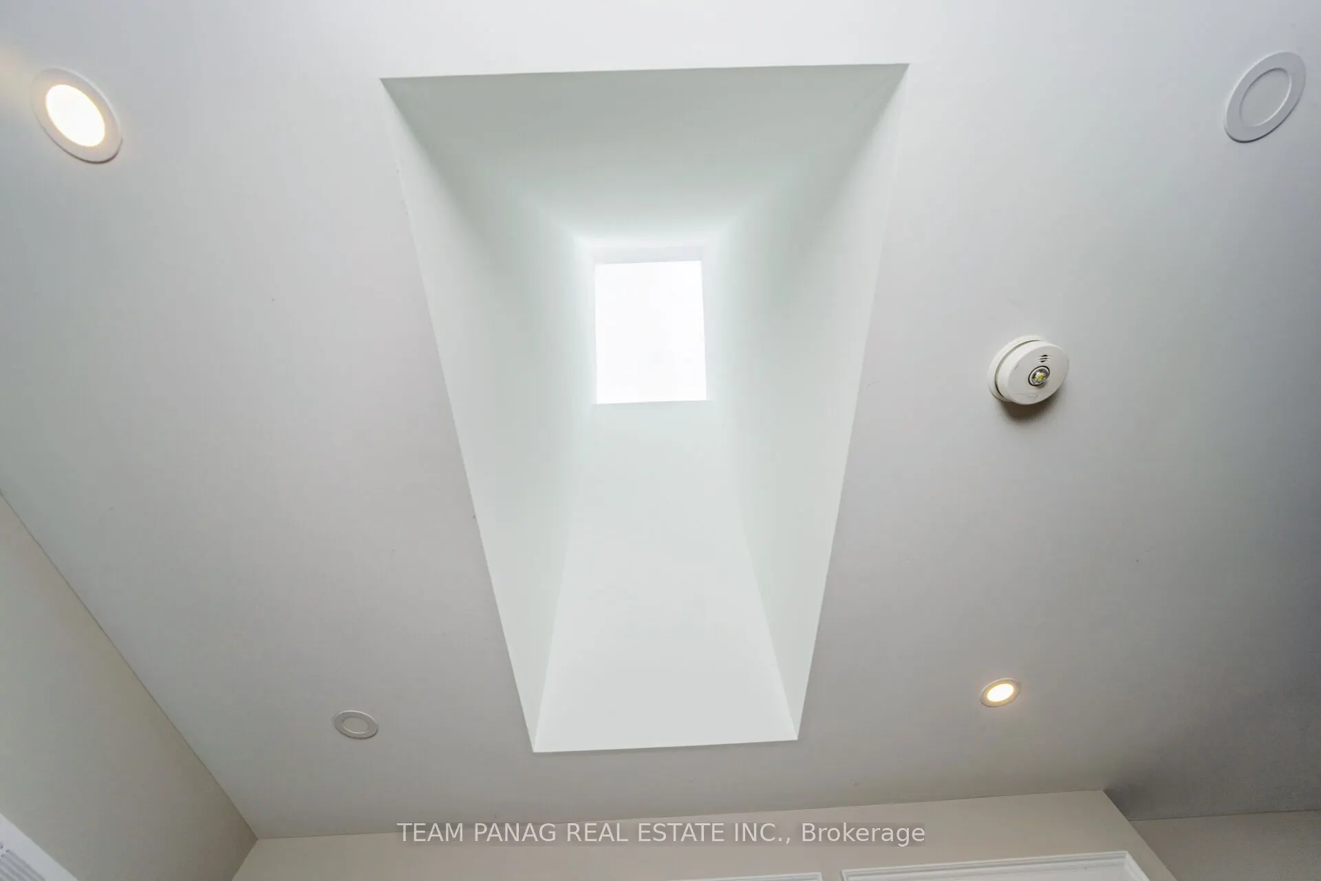 111 Iceland Poppy Trail