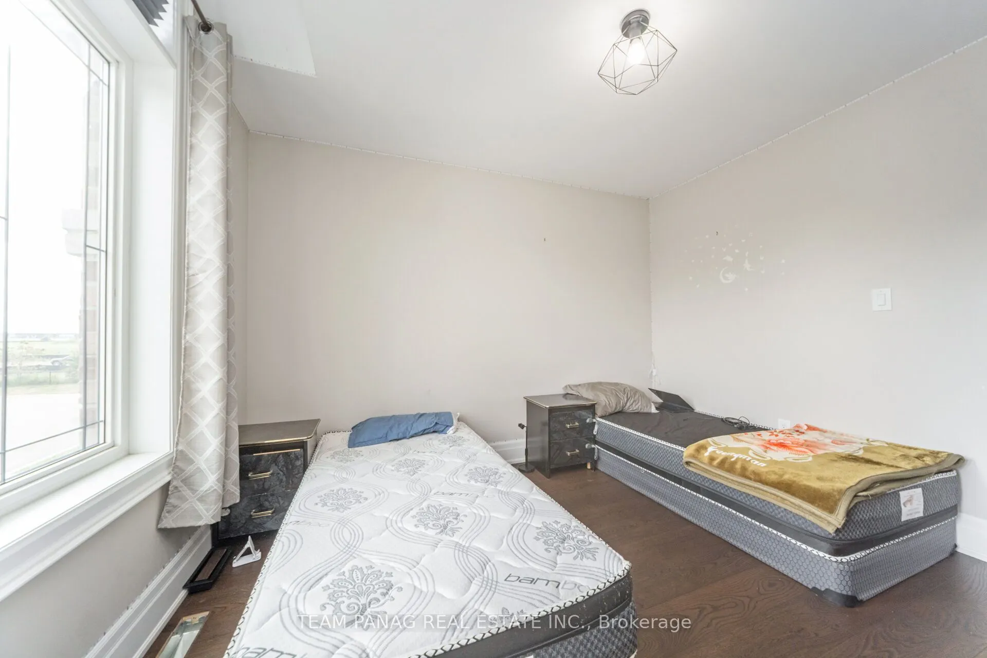 111 Iceland Poppy Trail