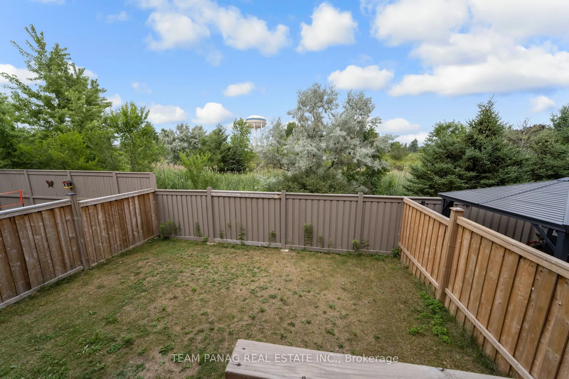 111 Iceland Poppy Trail