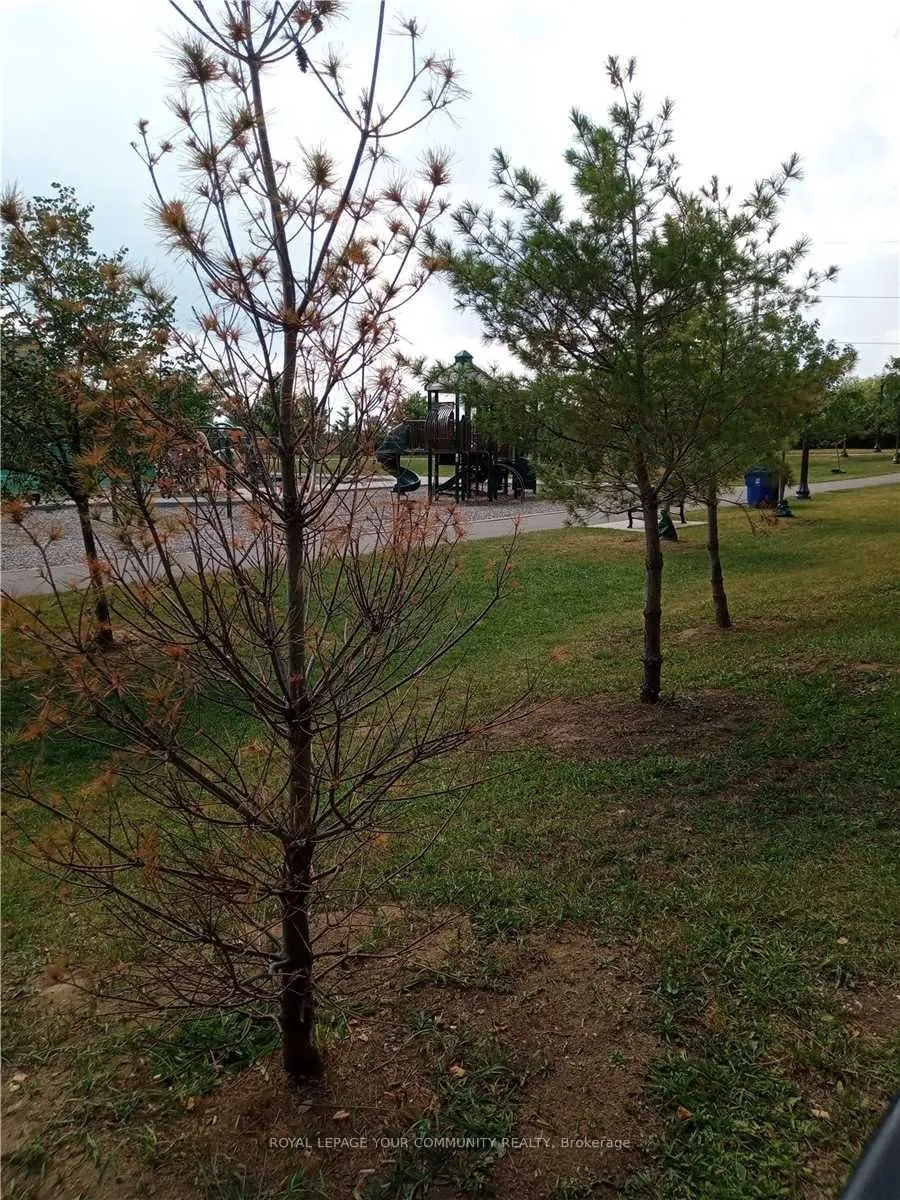 20 Foundry Avenue, #102