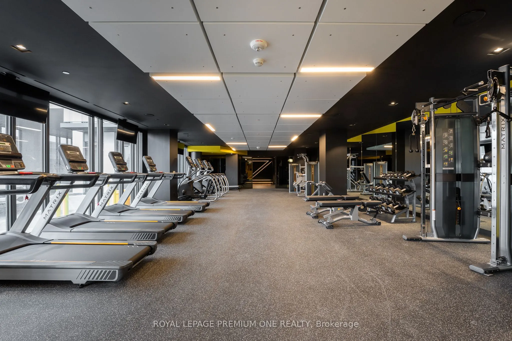 36 Zorra Street, #1402