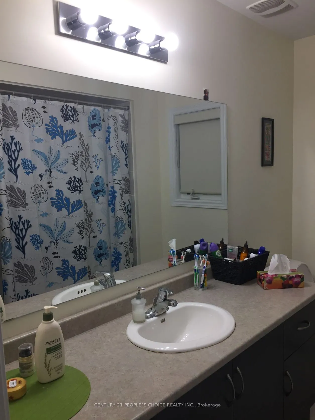 71 Buchanan Crescent, #Upper