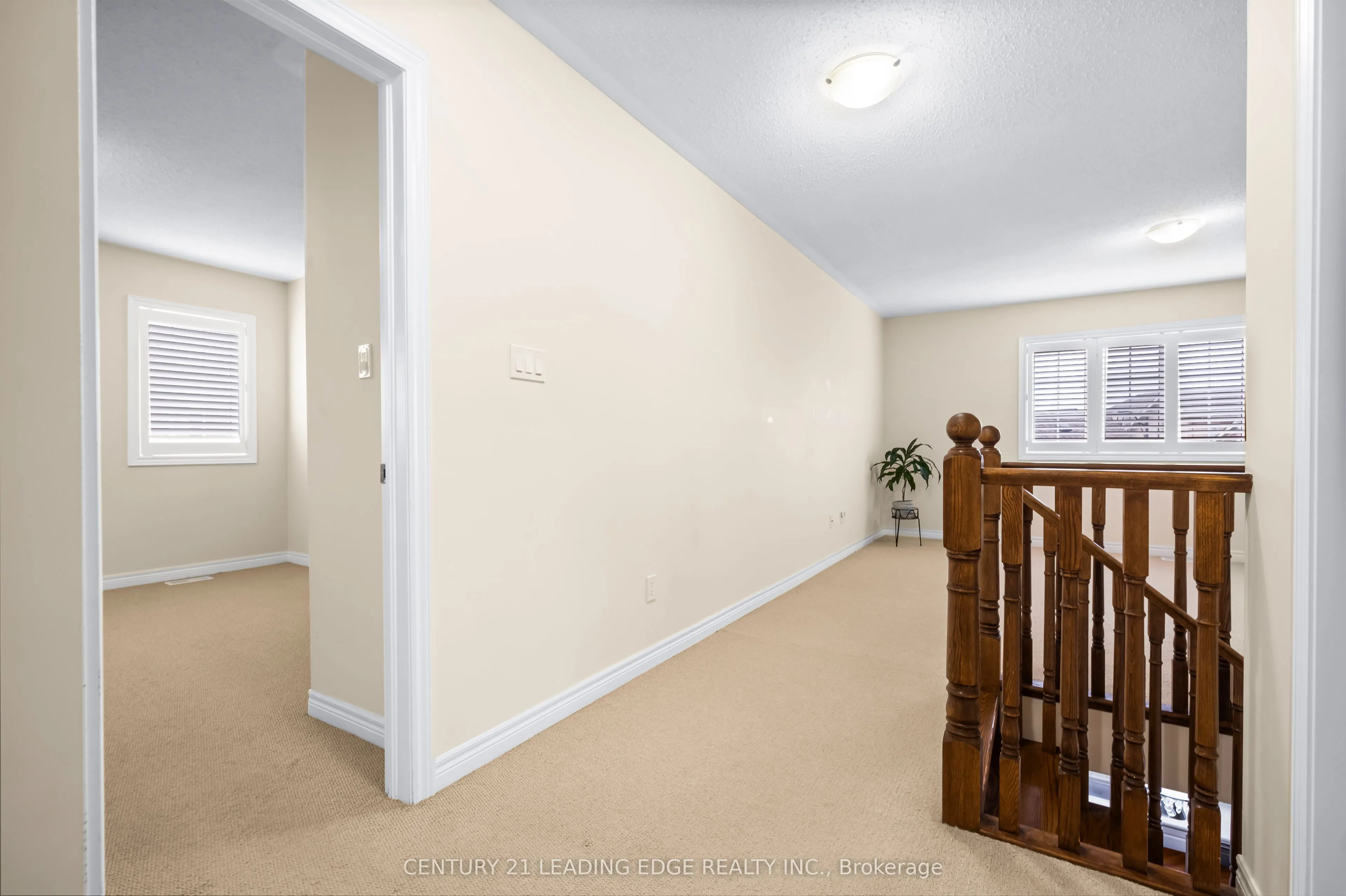 35 Lobelia Street #4