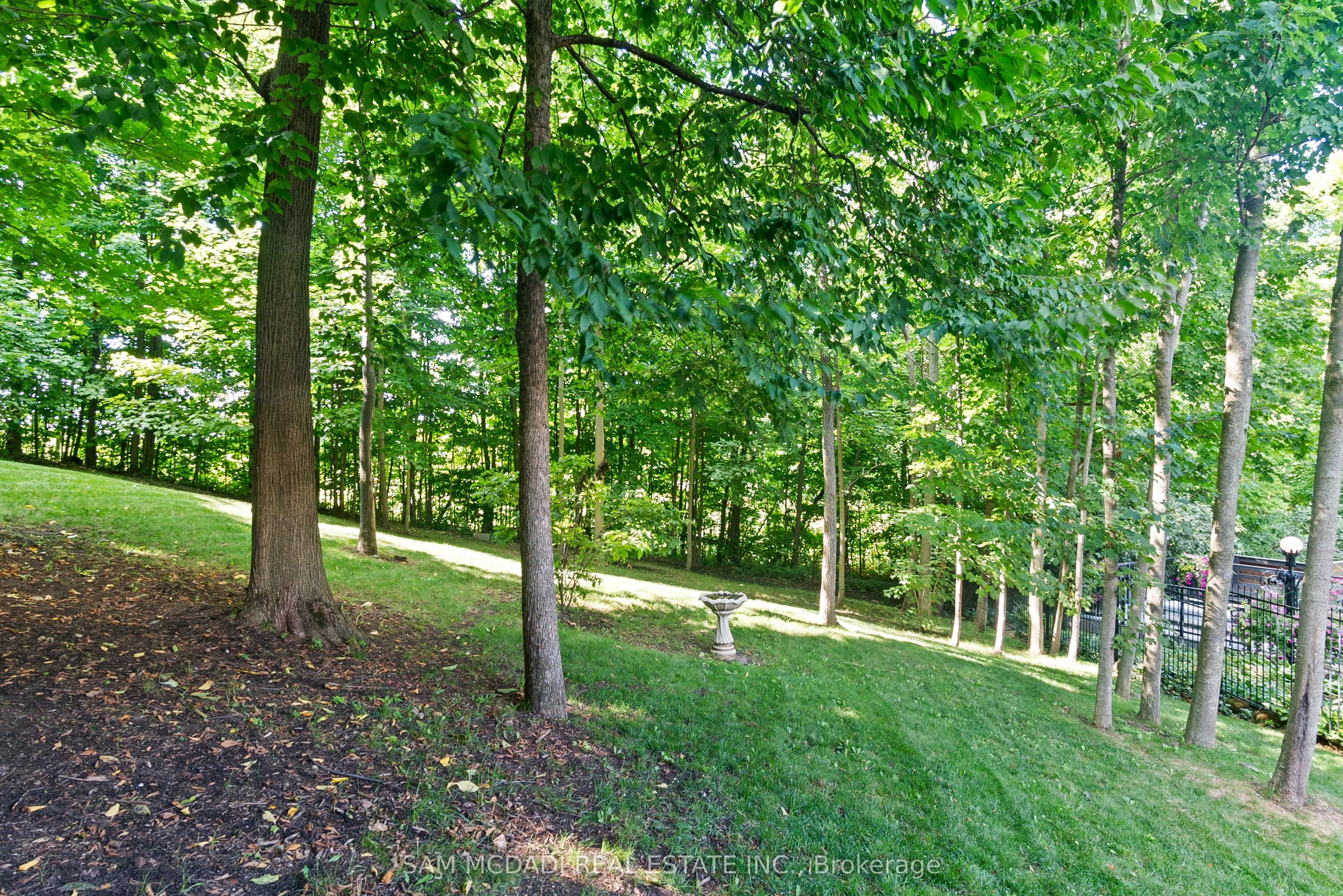 10140 Pineview Trail