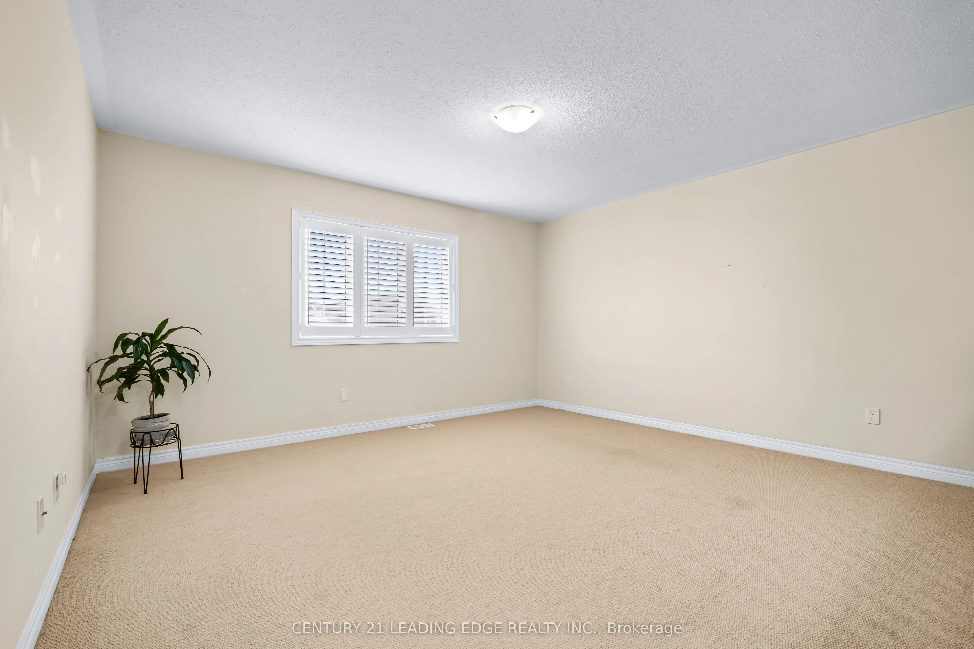 35 Lobelia Street #4