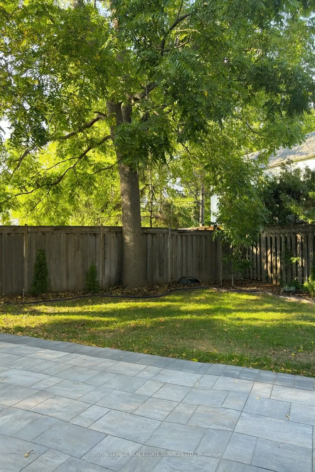 125 Paliser Court
