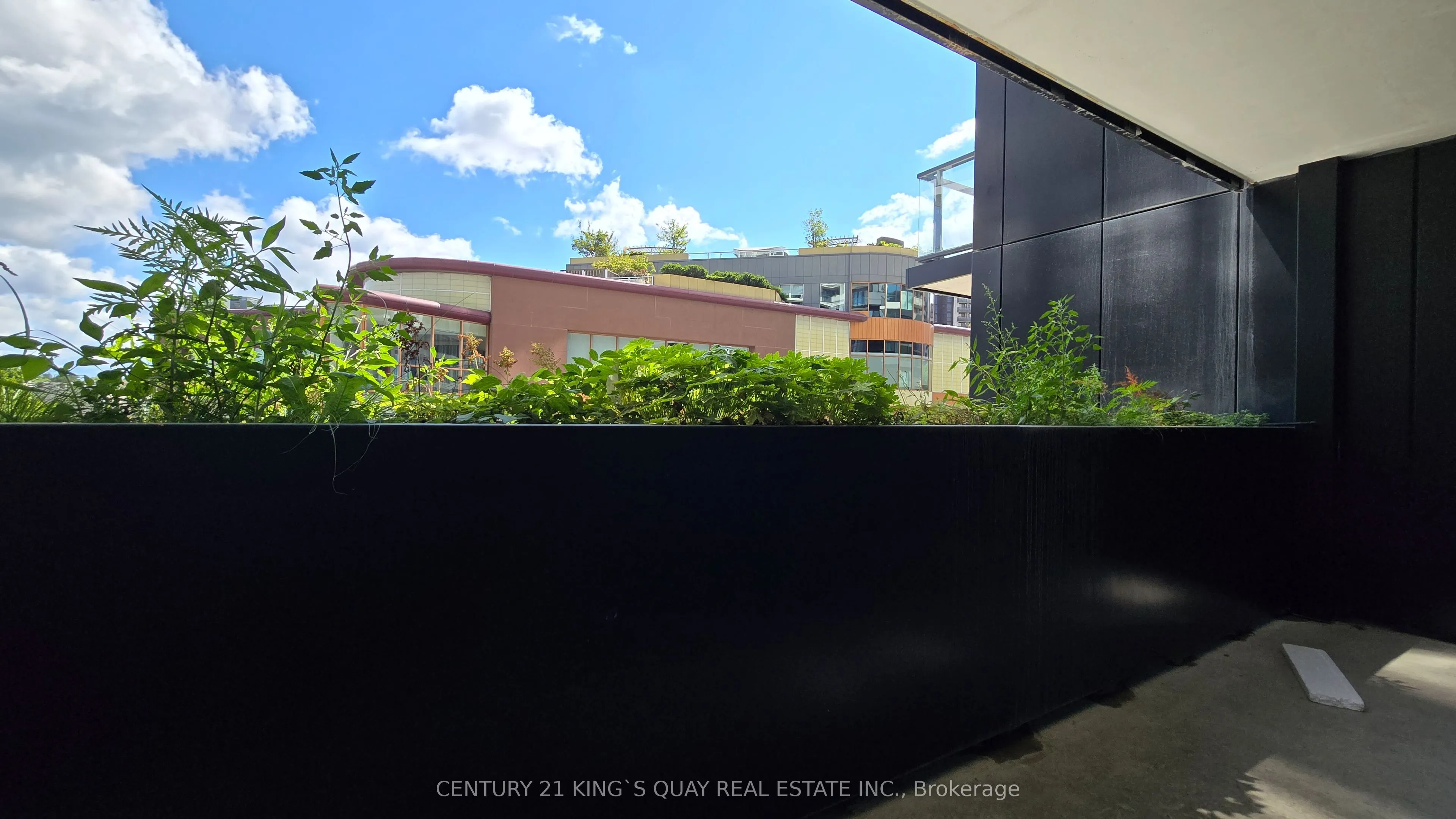 1100 Sheppard Avenue W #236