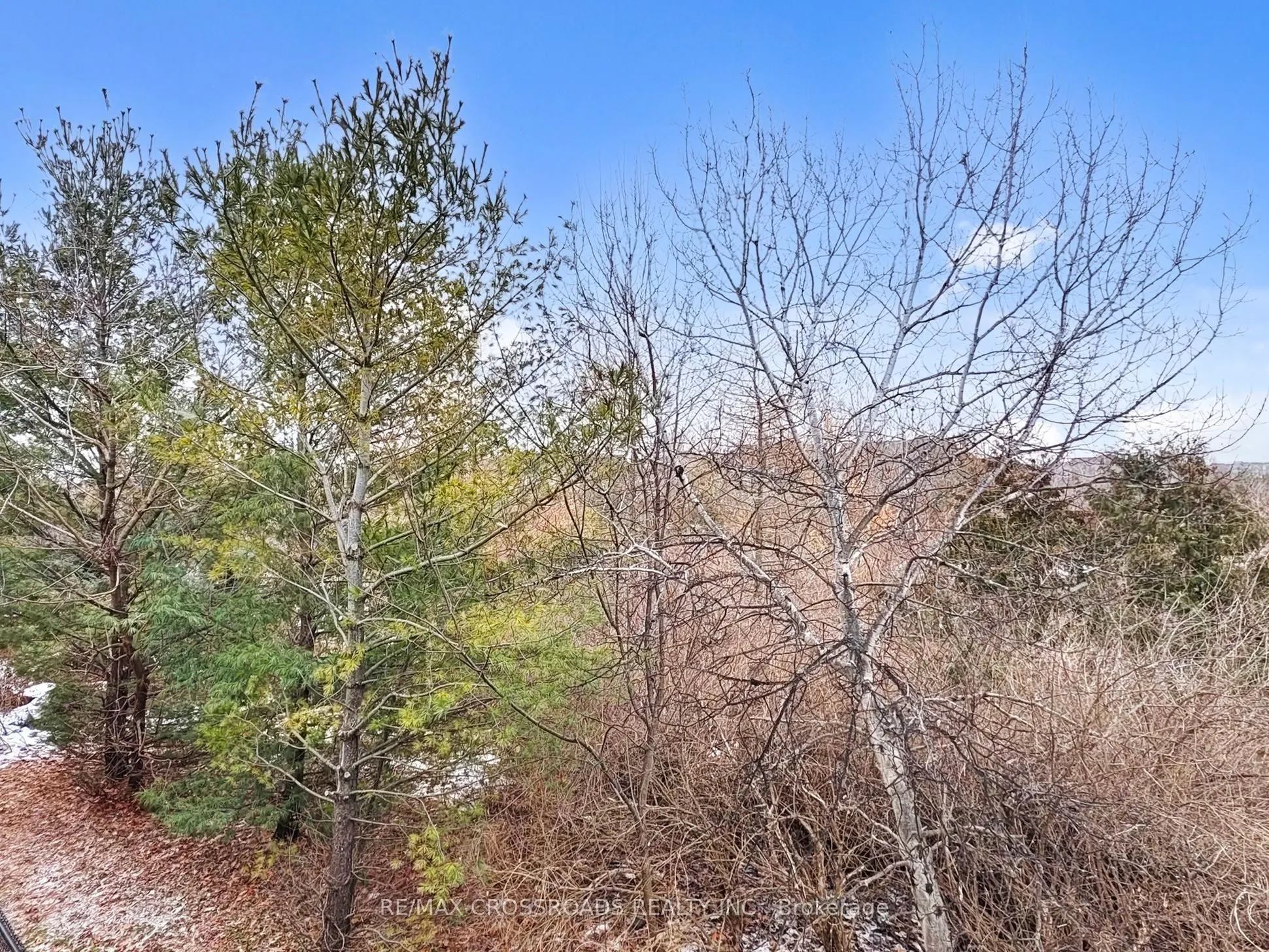 6020 DERRY Road #68