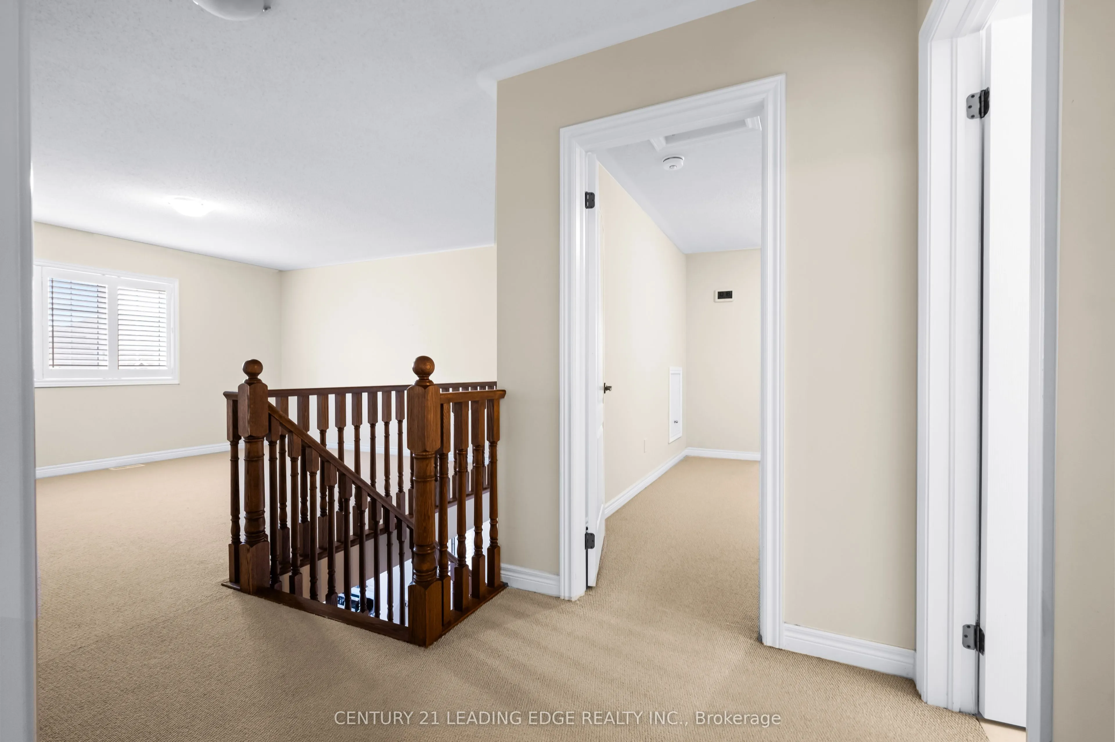 35 Lobelia Street #4