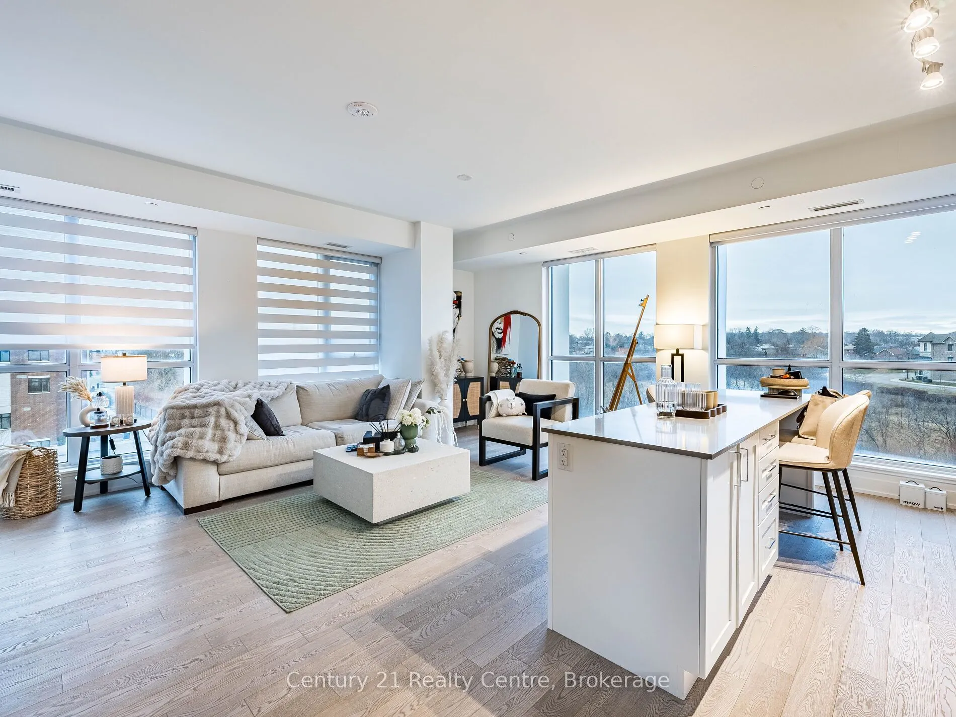 1063 Douglas McCurdy Common #303