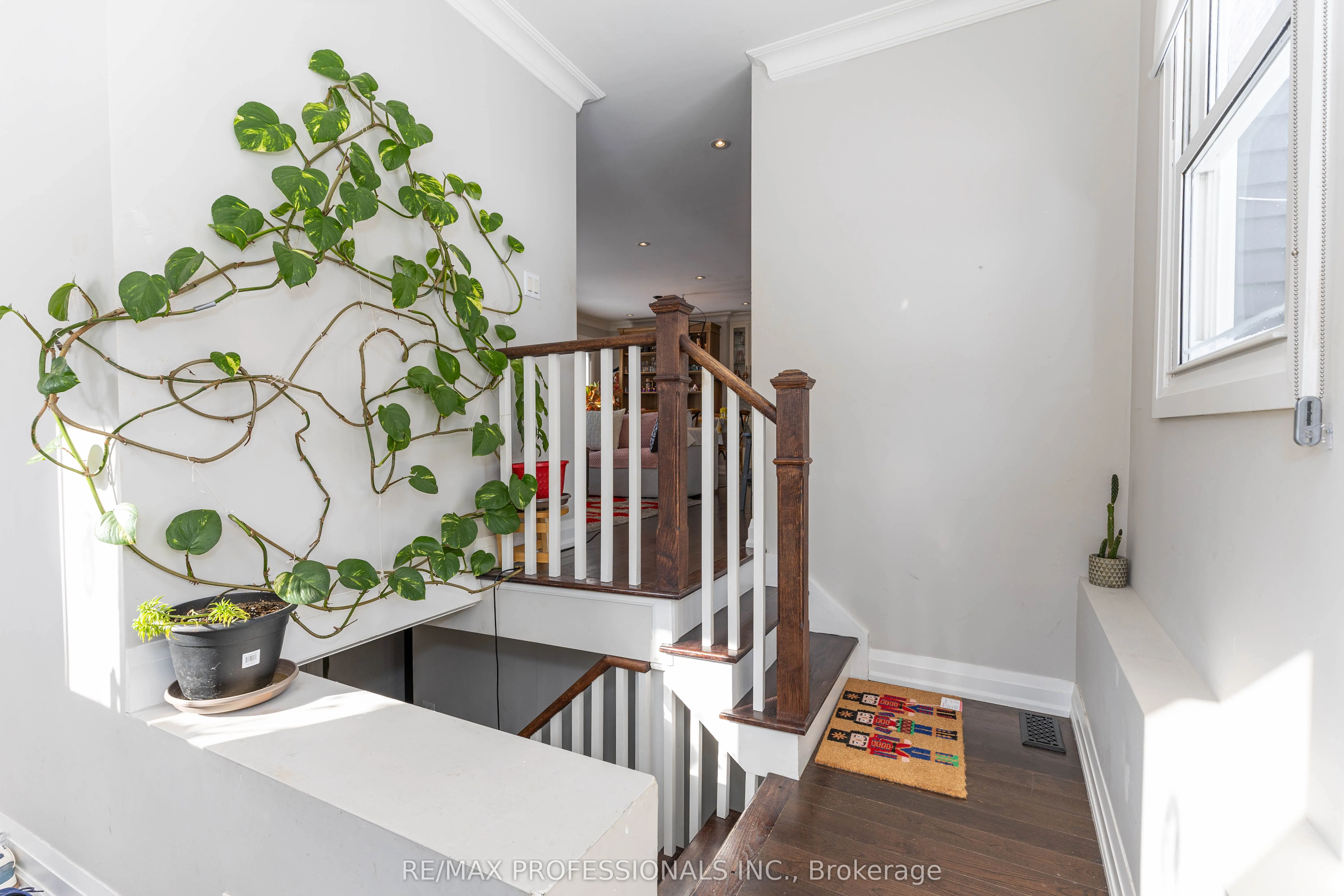 58 RUTLEDGE Road