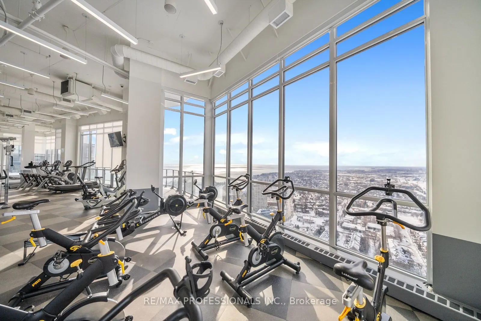 10 Park Lawn Road #1705