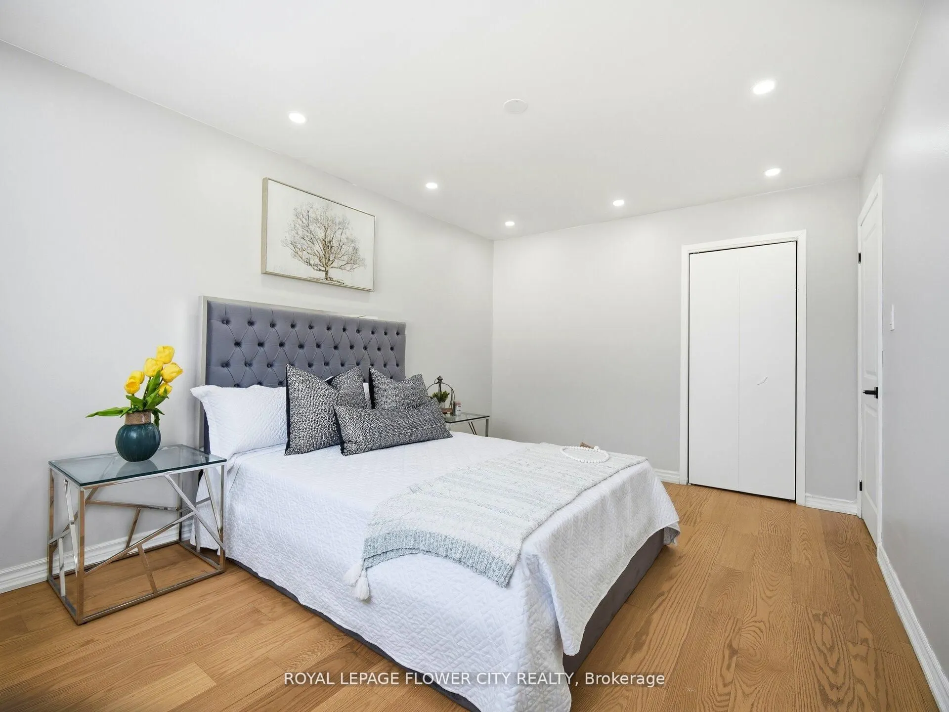 25 Abell Drive